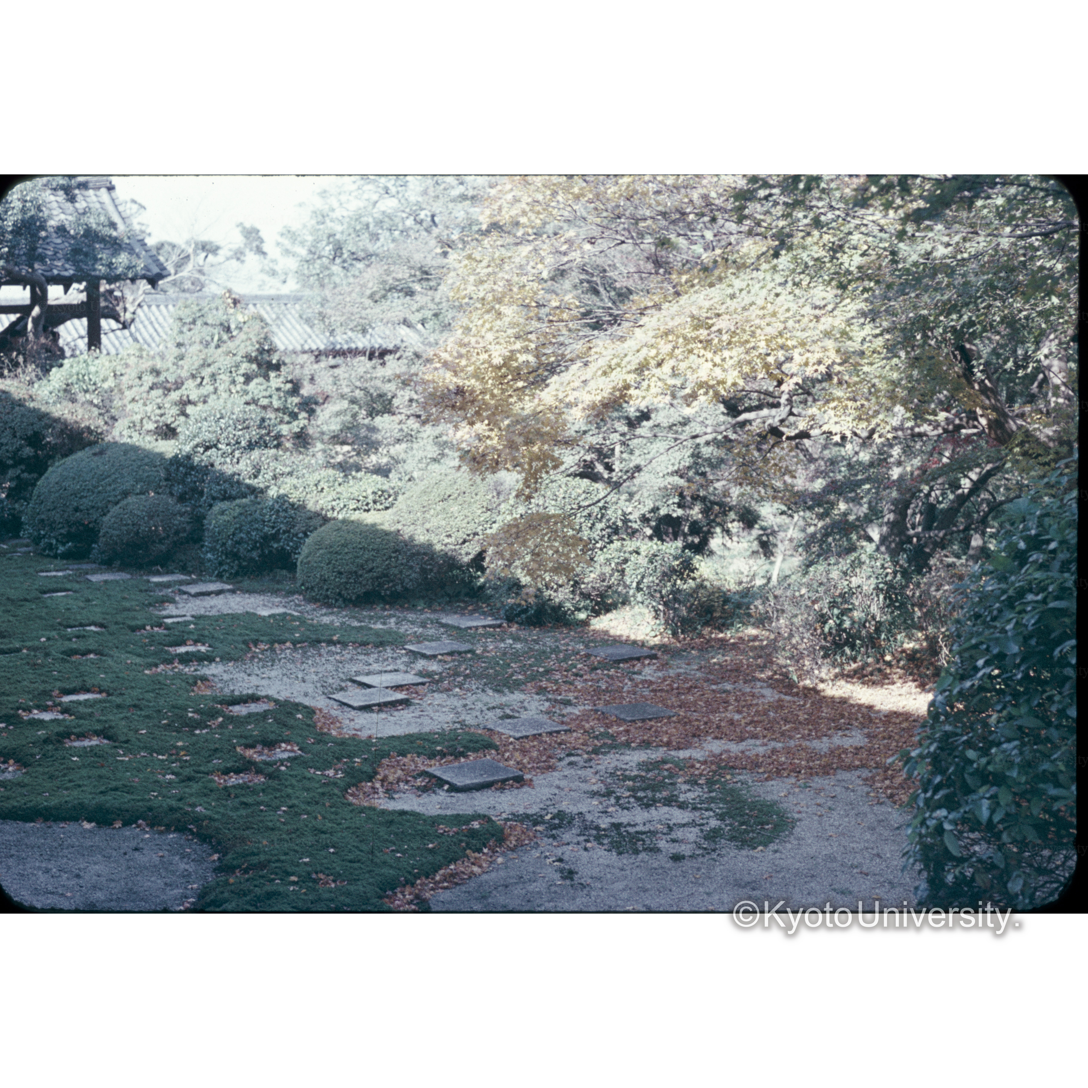 東福寺方丈北庭 (1)