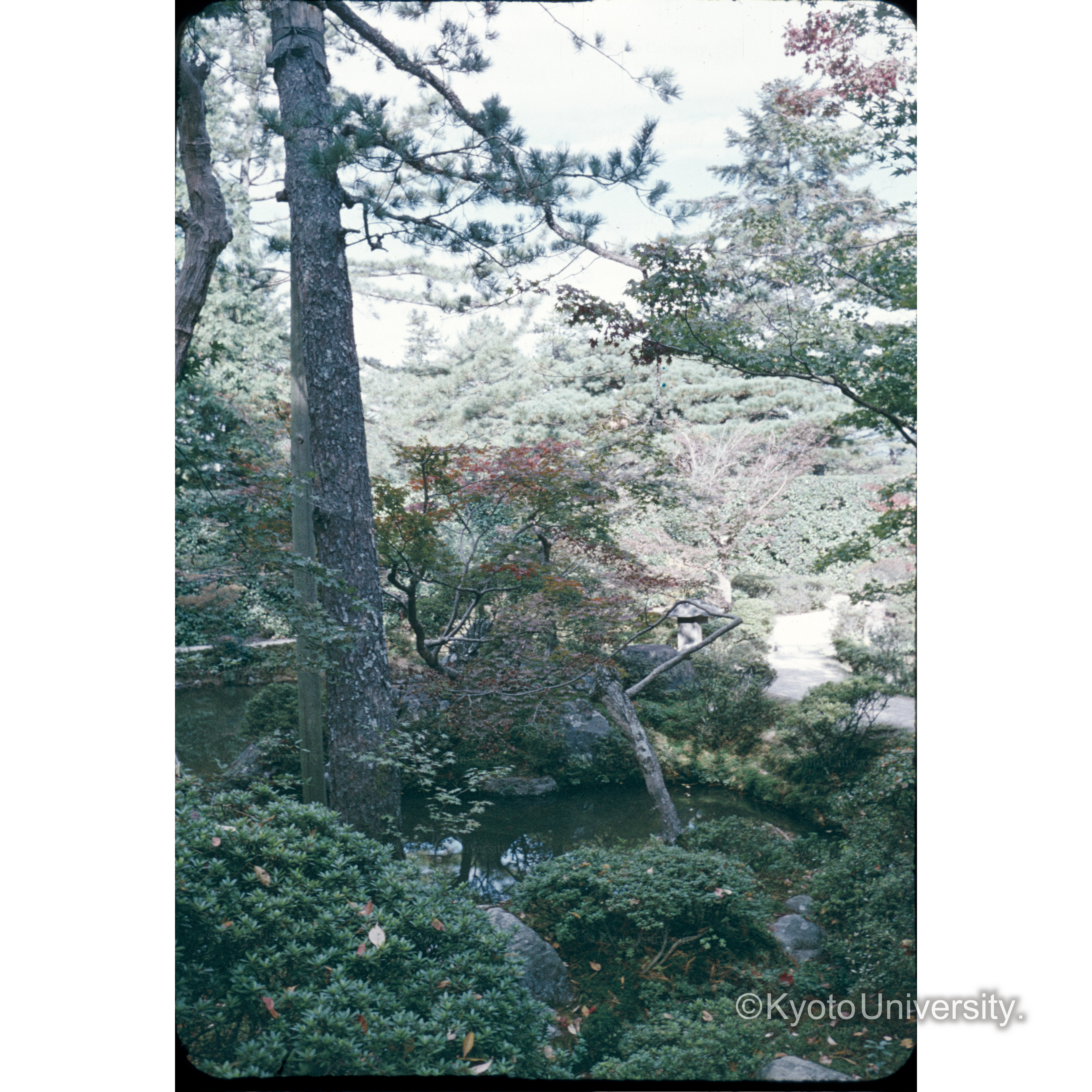 修学院中御茶屋 (1)