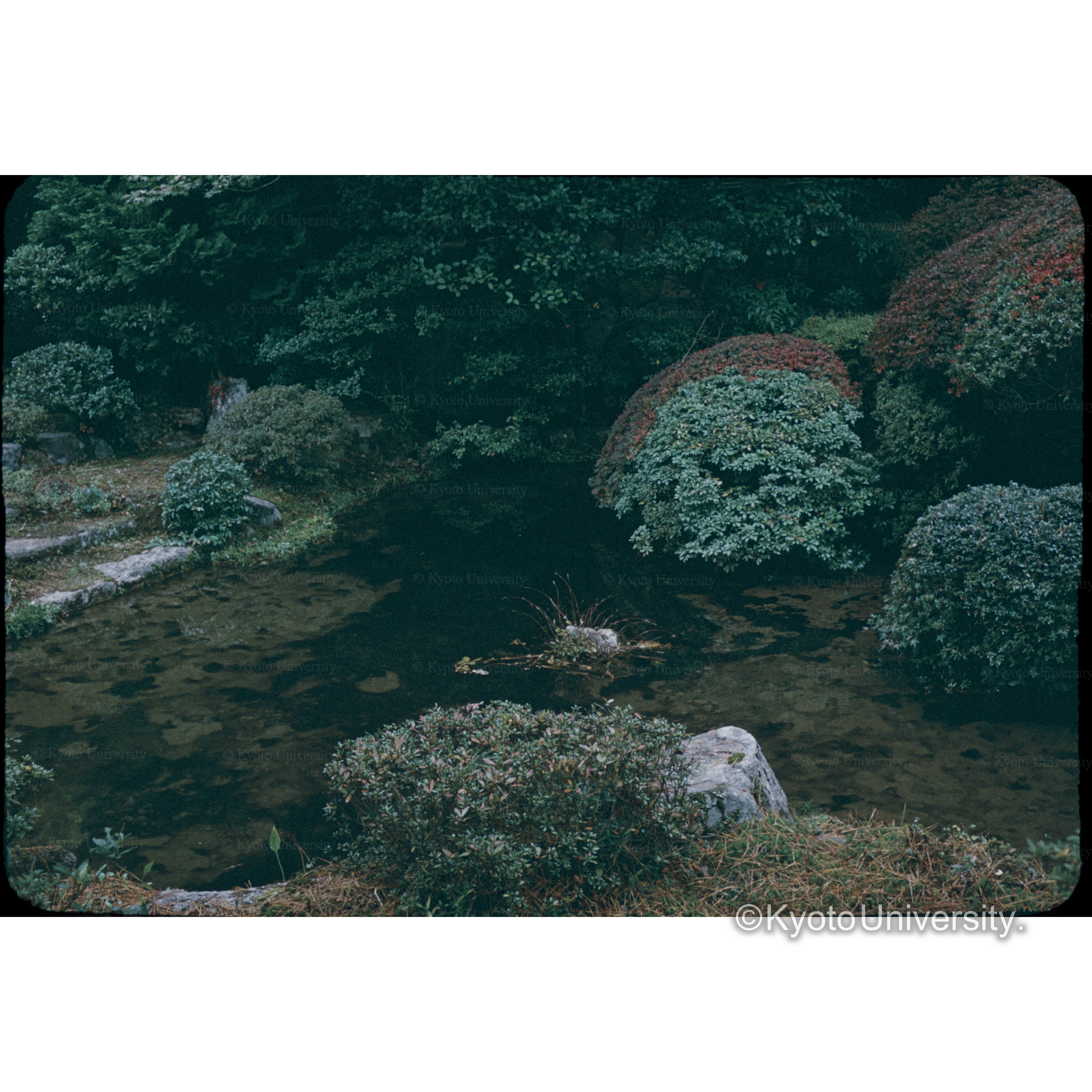 修学院中御茶屋 (1)