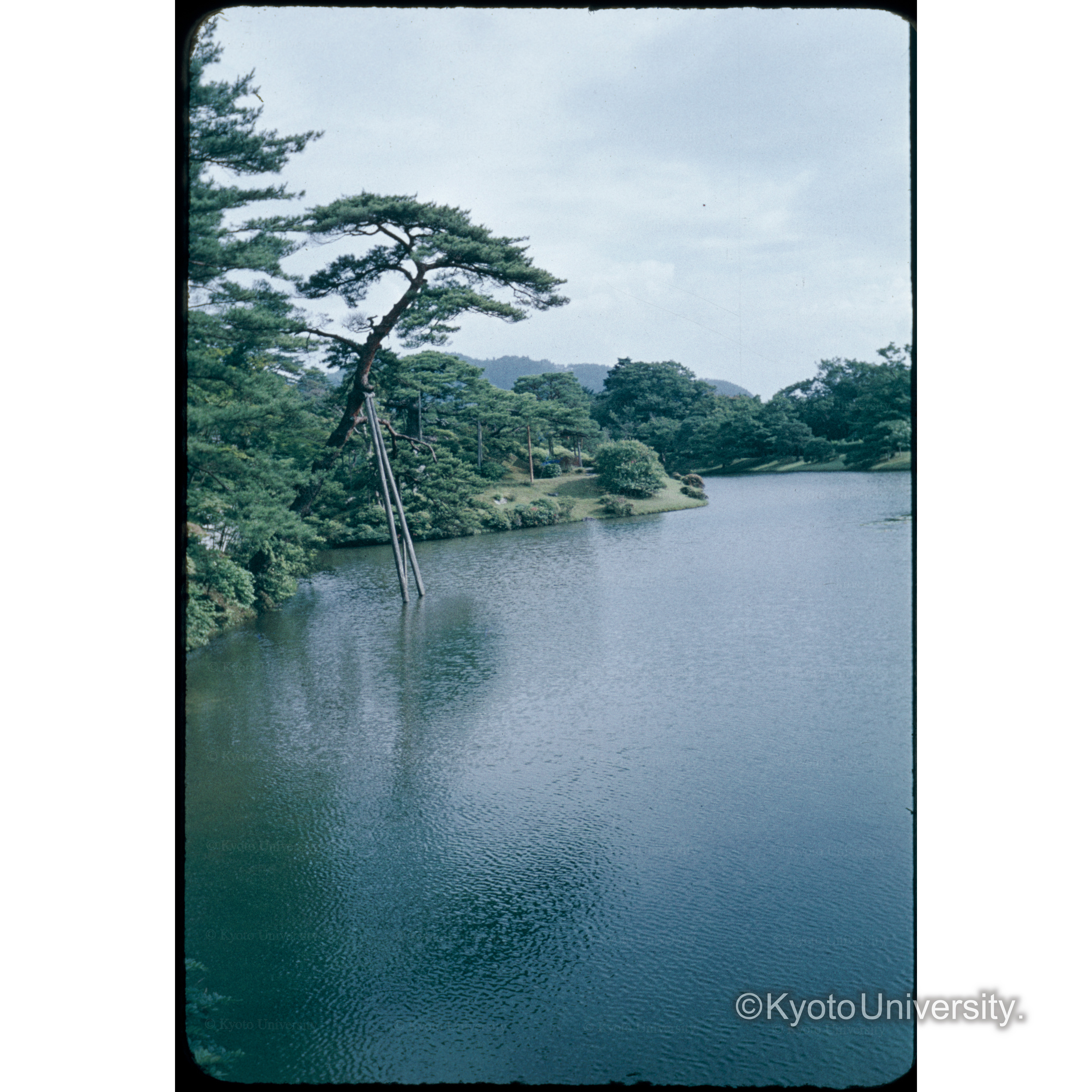 〔庭園の池〕 (1)