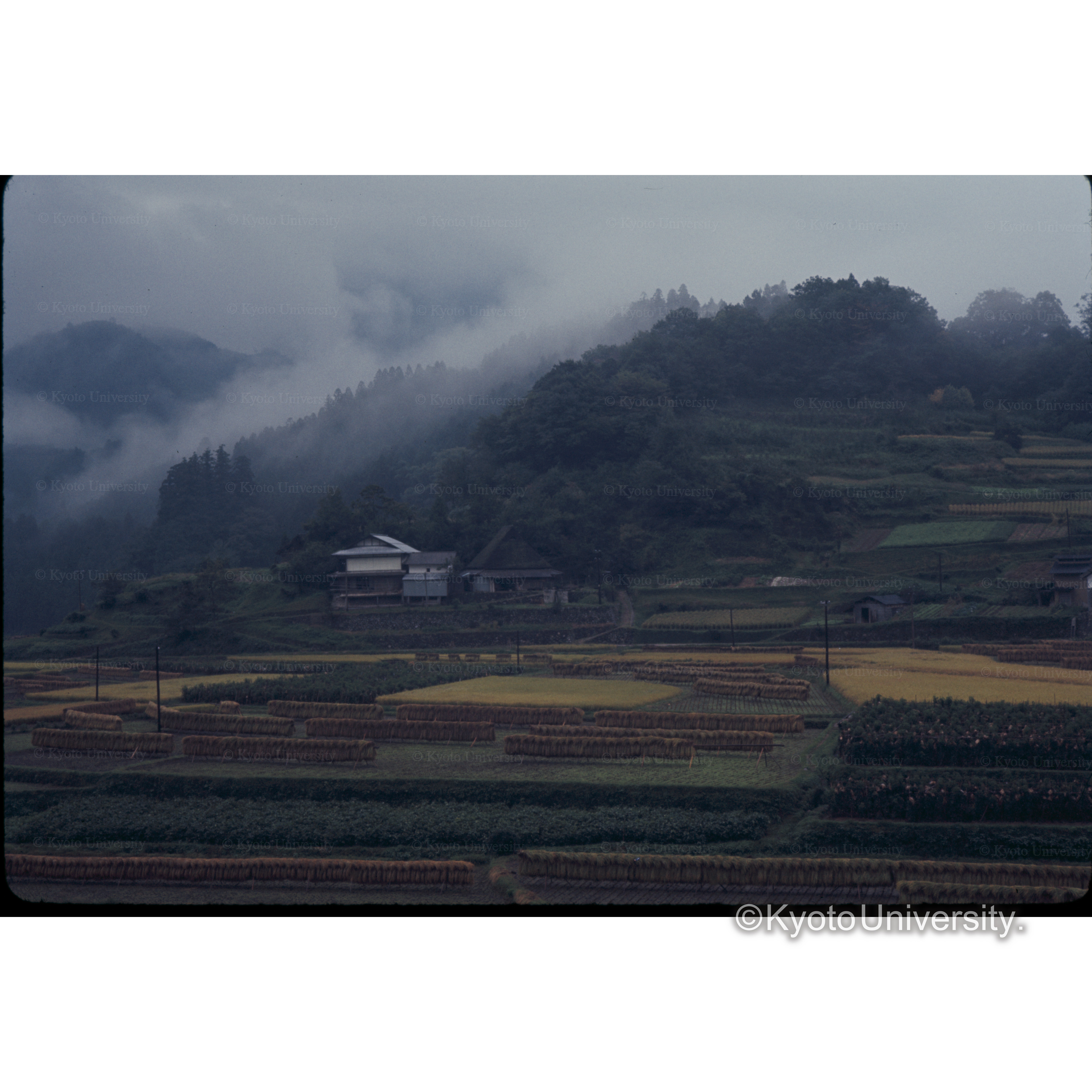 曽祢（ソニ）□□□ (1)