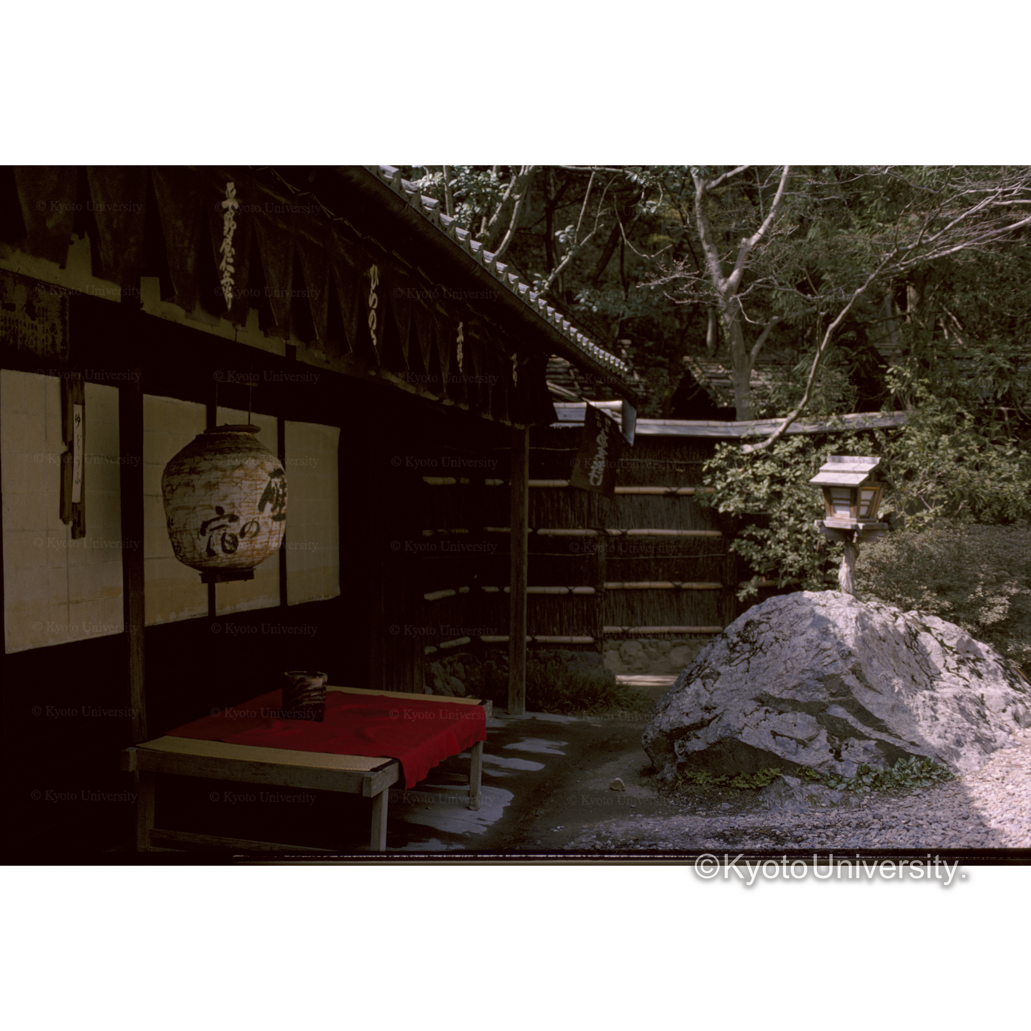 〔店舗と庭〕 (1)