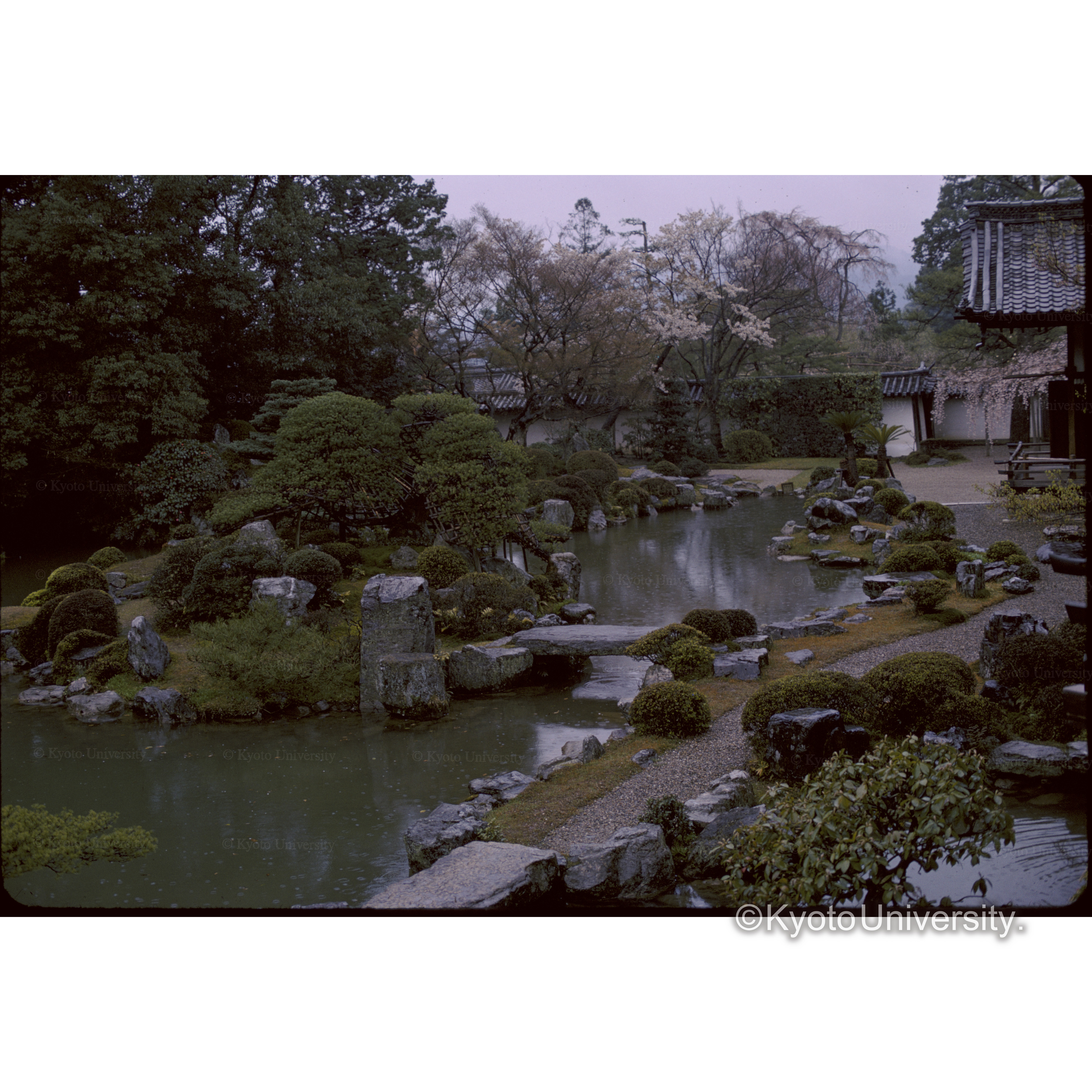 ダイゴ三宝院 (1)