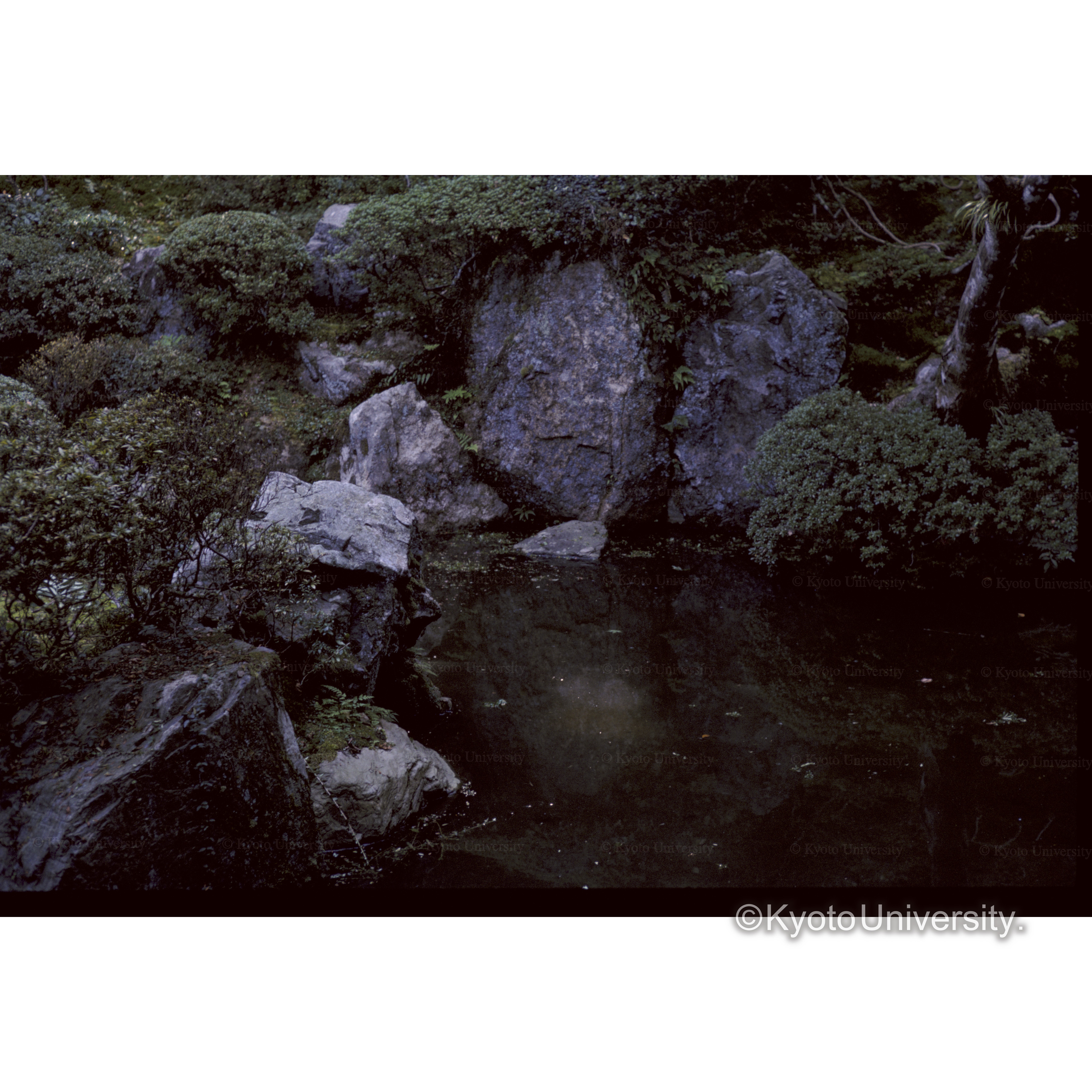 三井寺光浄院 (1)