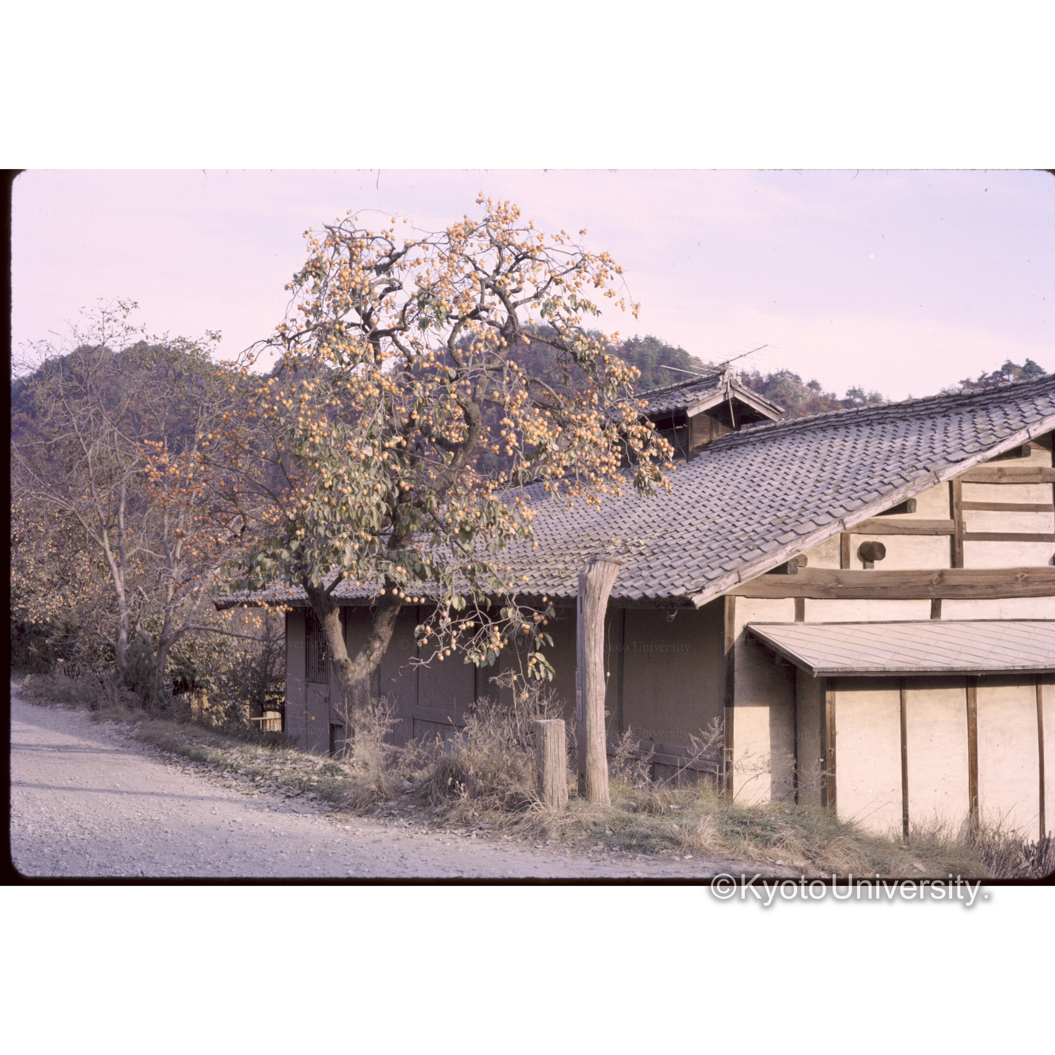 美ヶ原−諏訪 (1)