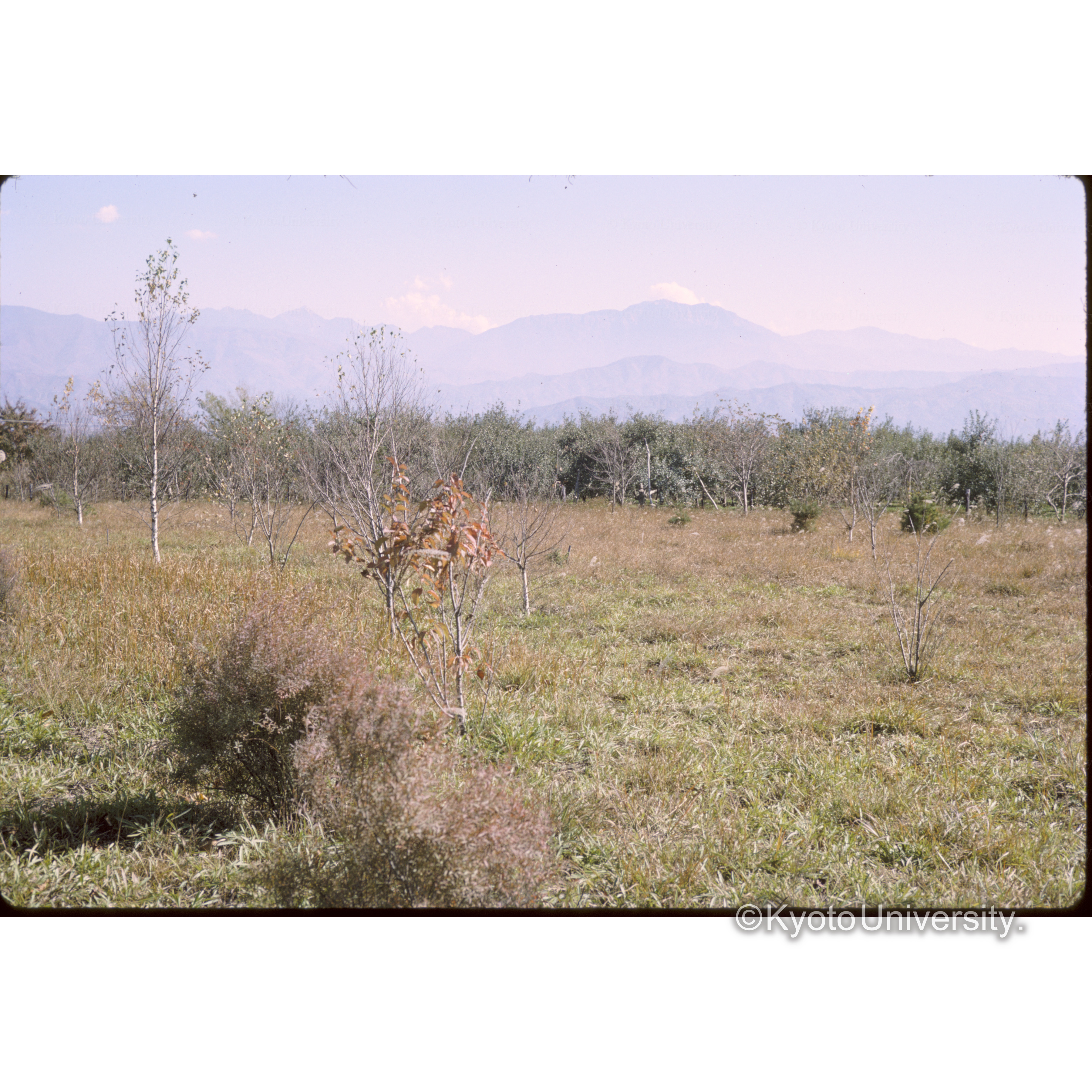 南アルプス 信大農場より (1)