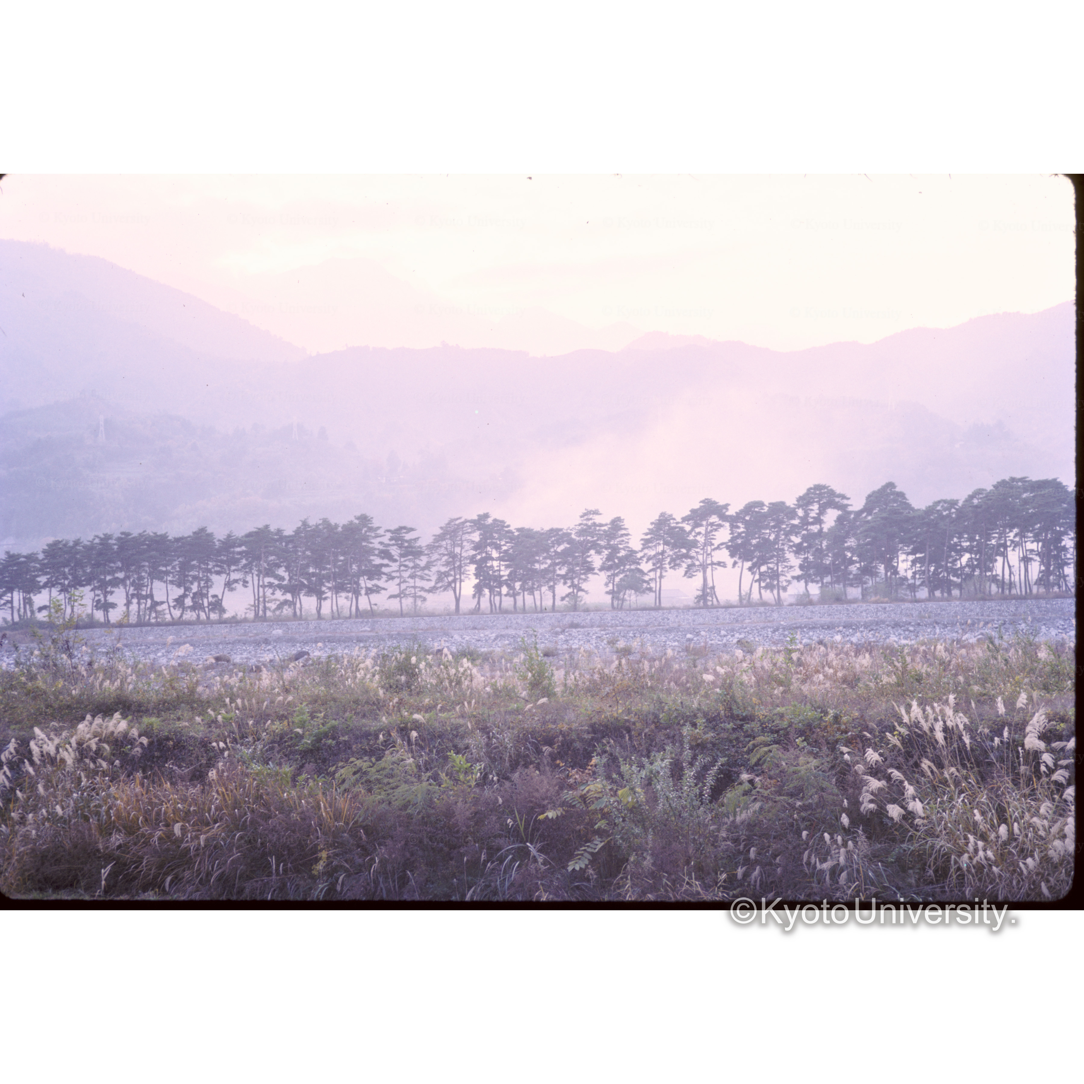 国道20号　甲府街道 (1)