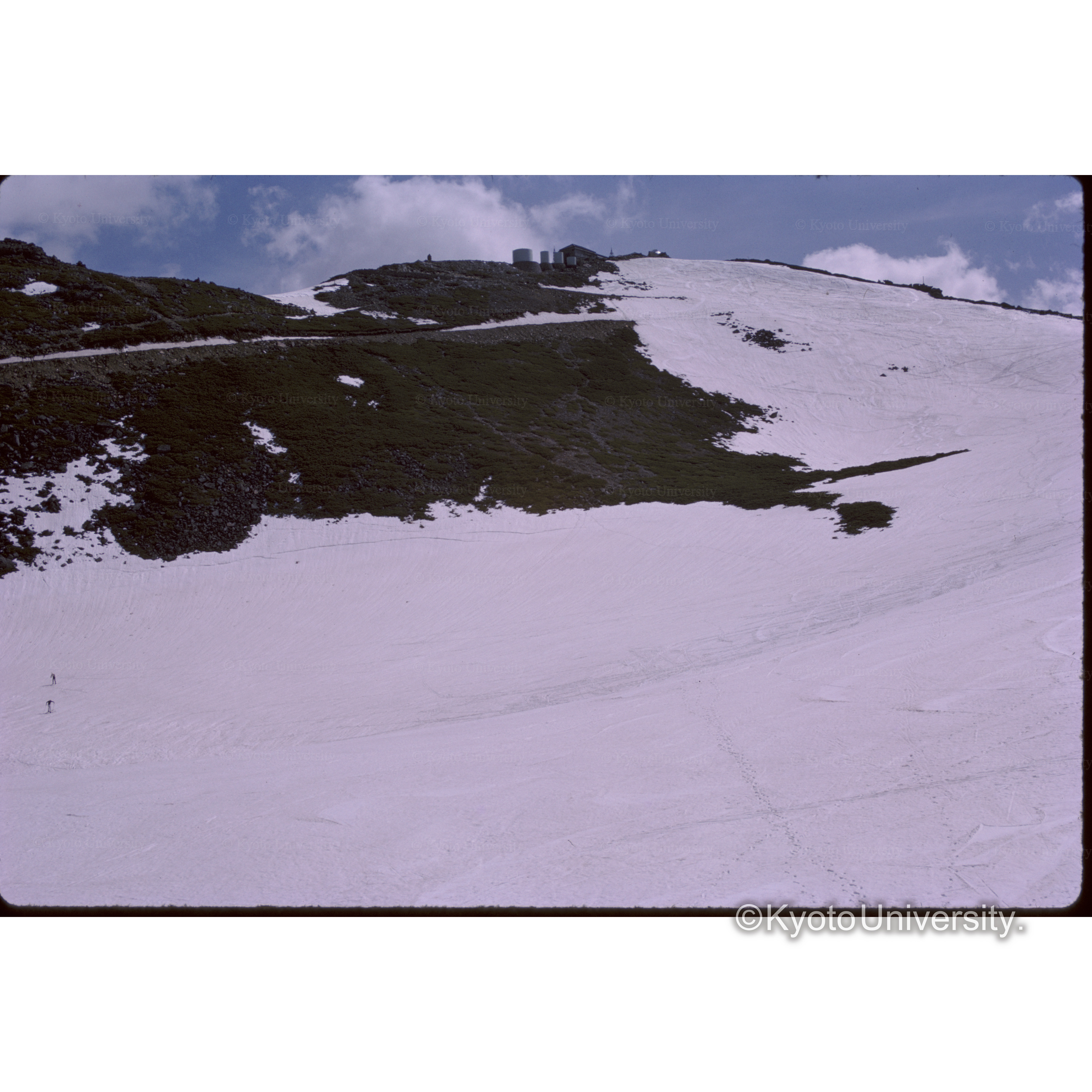 コロナを望む (1)