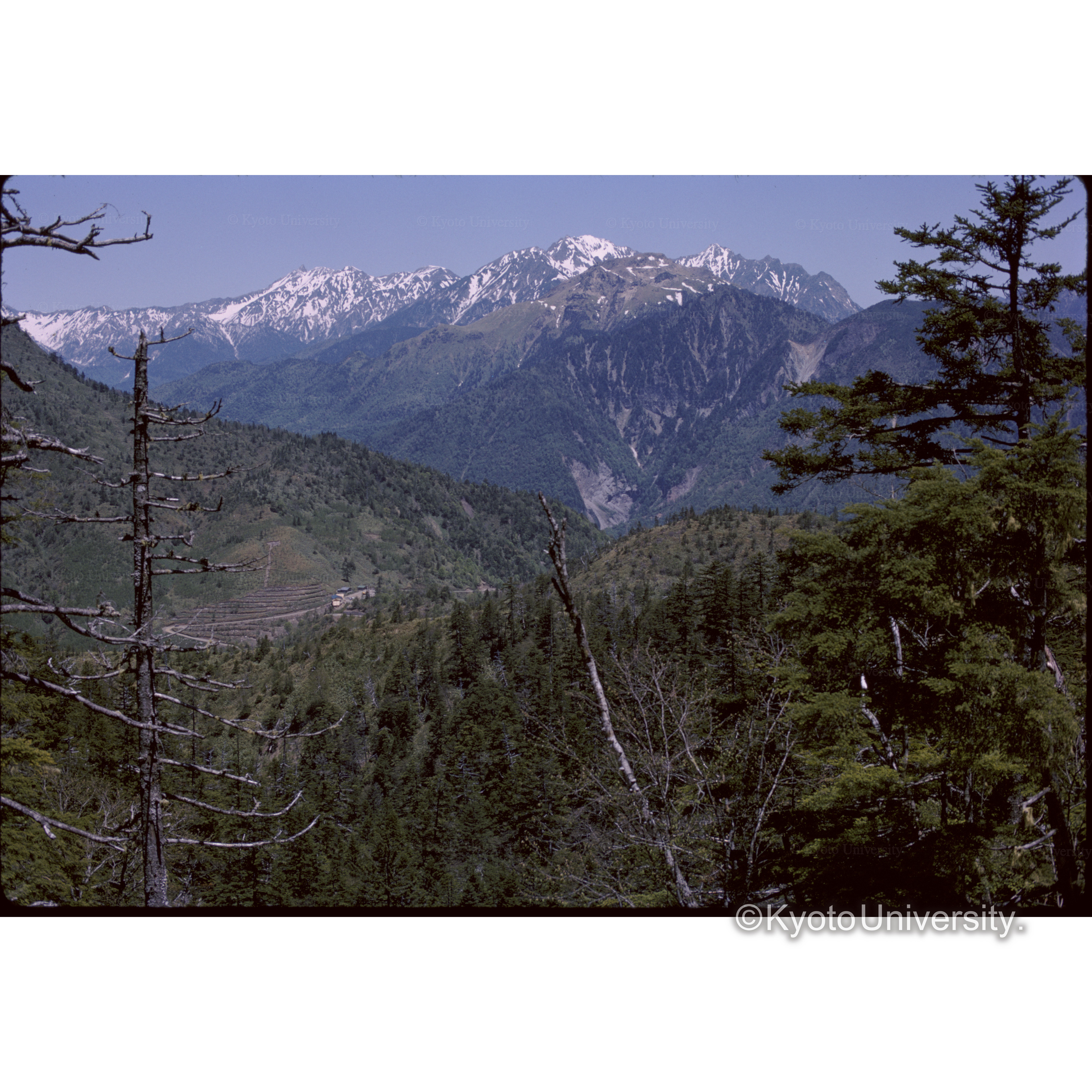 乗鞍への途中から (1)