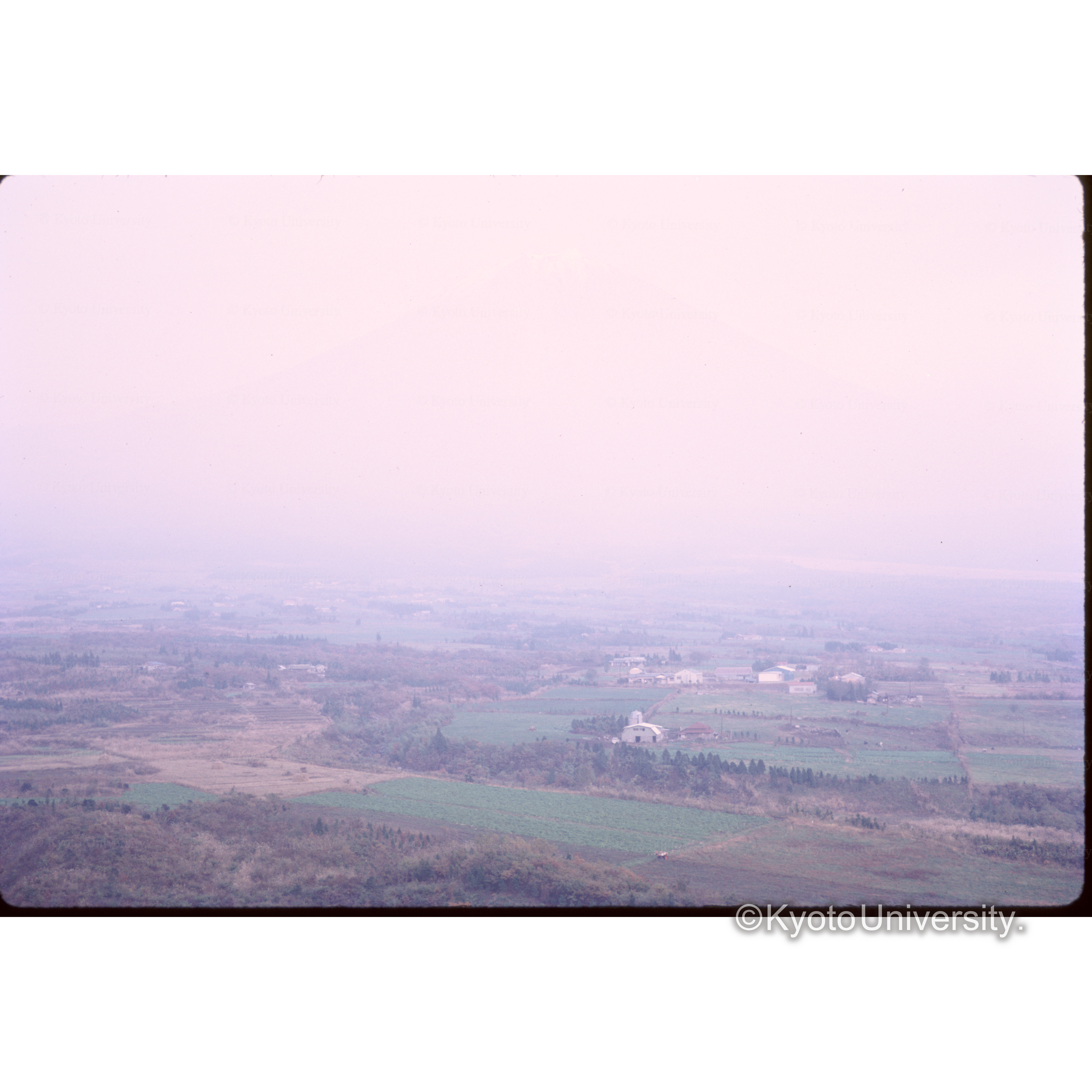 白糸の滝からの帰りフジをみる (1)