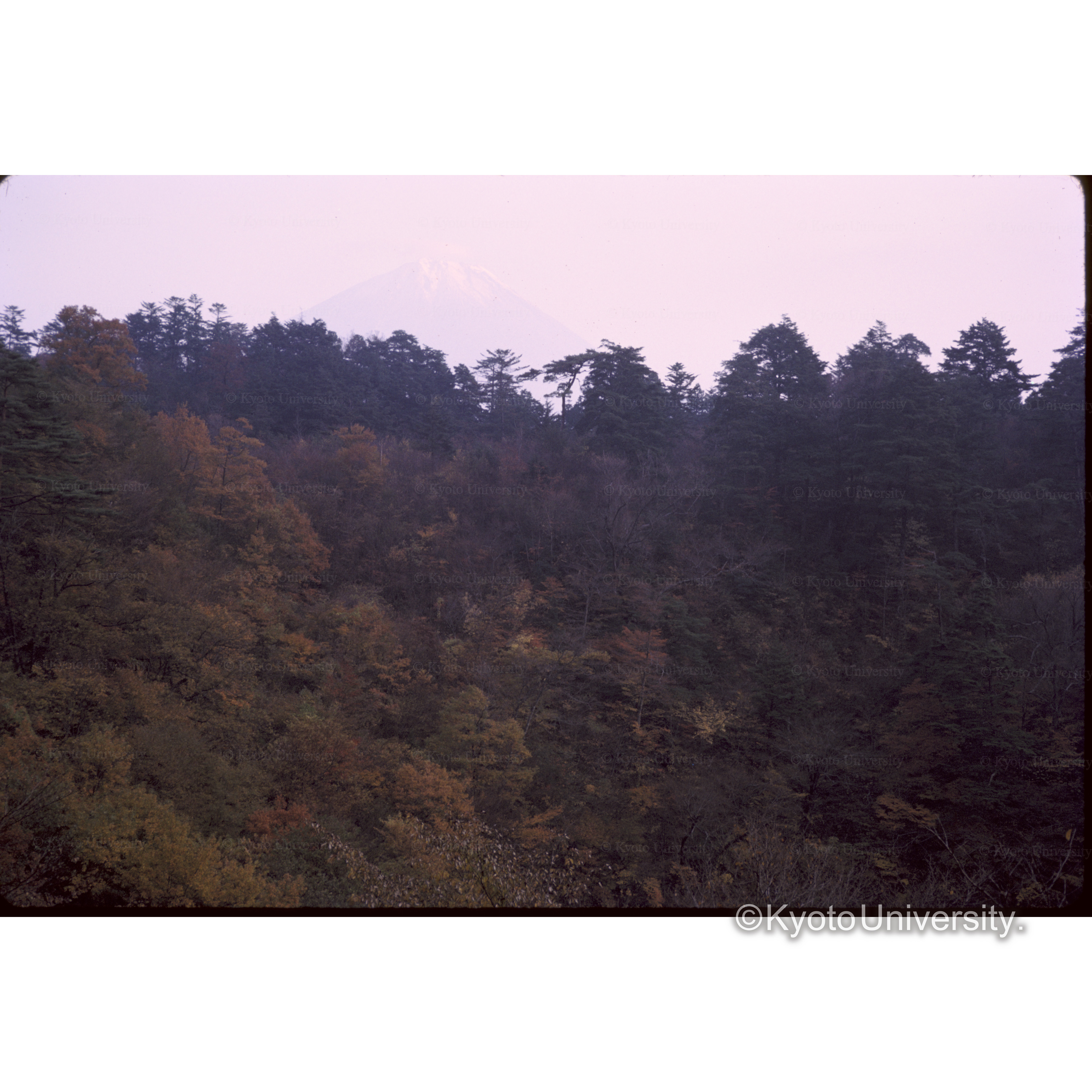 白糸の滝からの帰り (1)