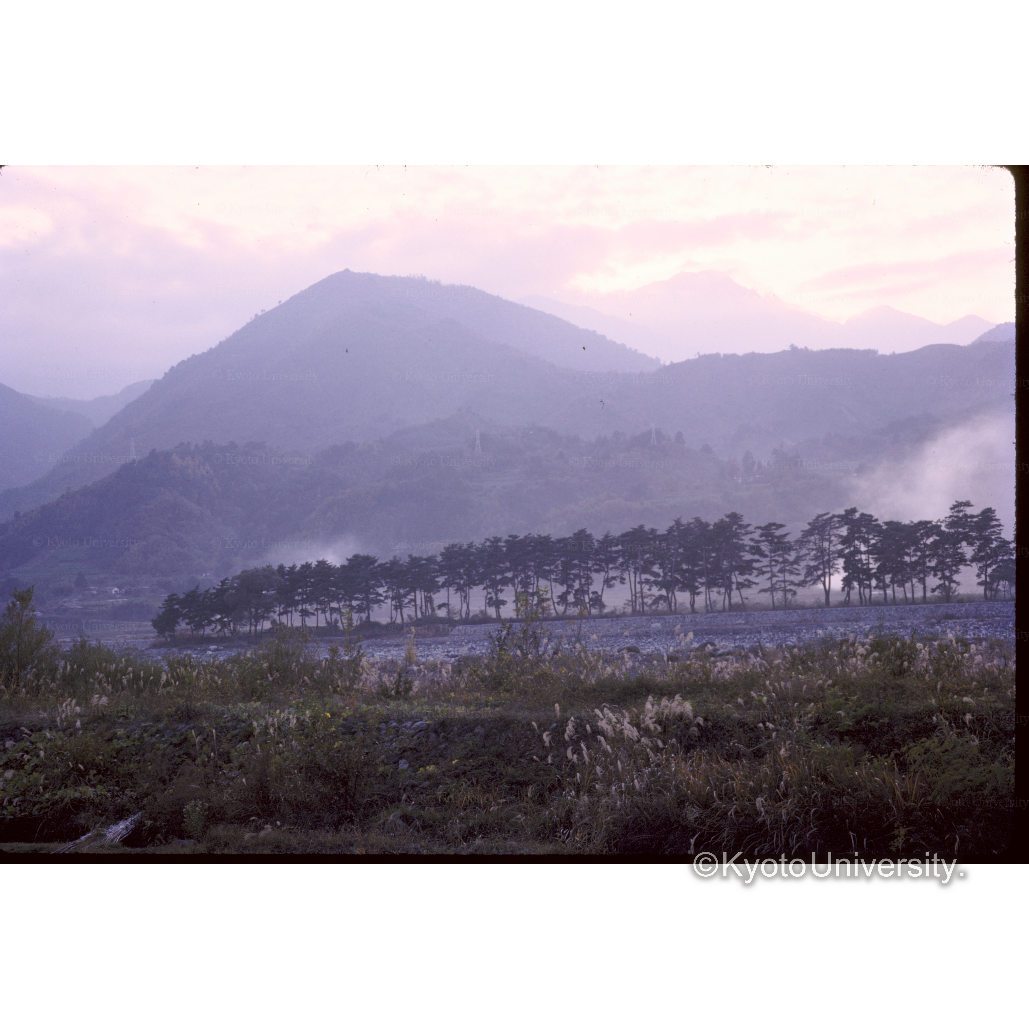 国道20号(甲府への道) (1)