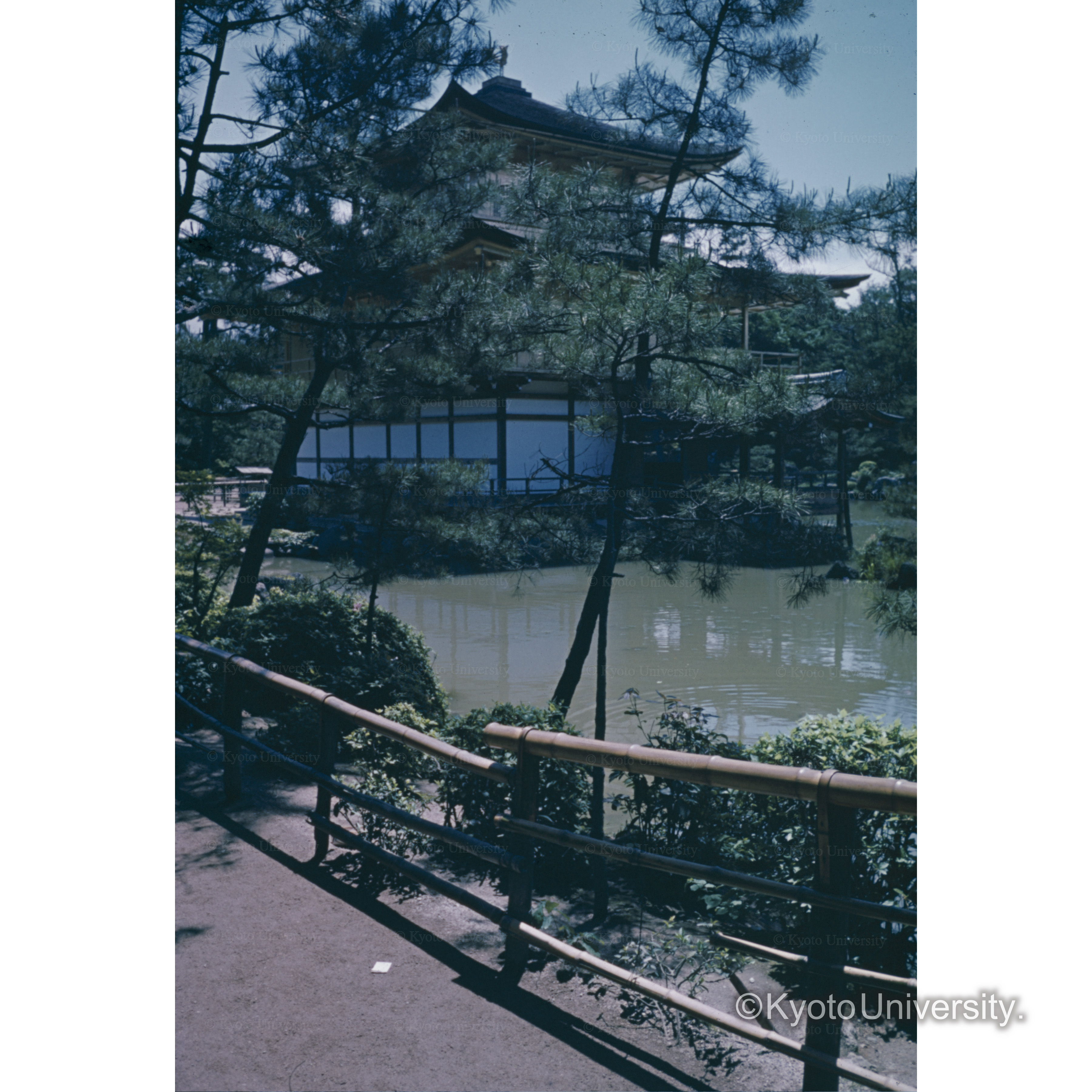 鏡湖池　西北寺からみた金閣 (1)