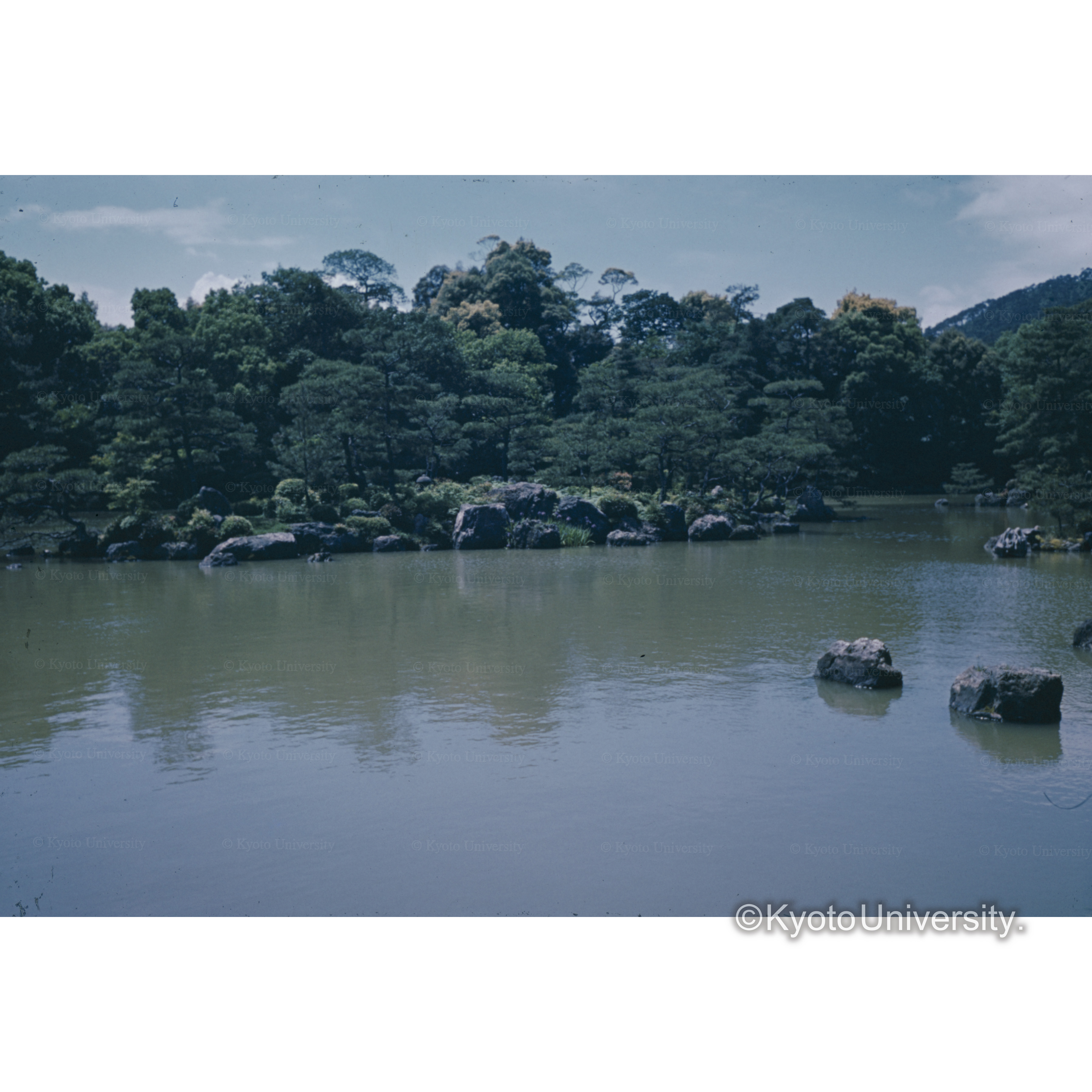 金閣寺庭園　鏡湖池夜泊石 (1)