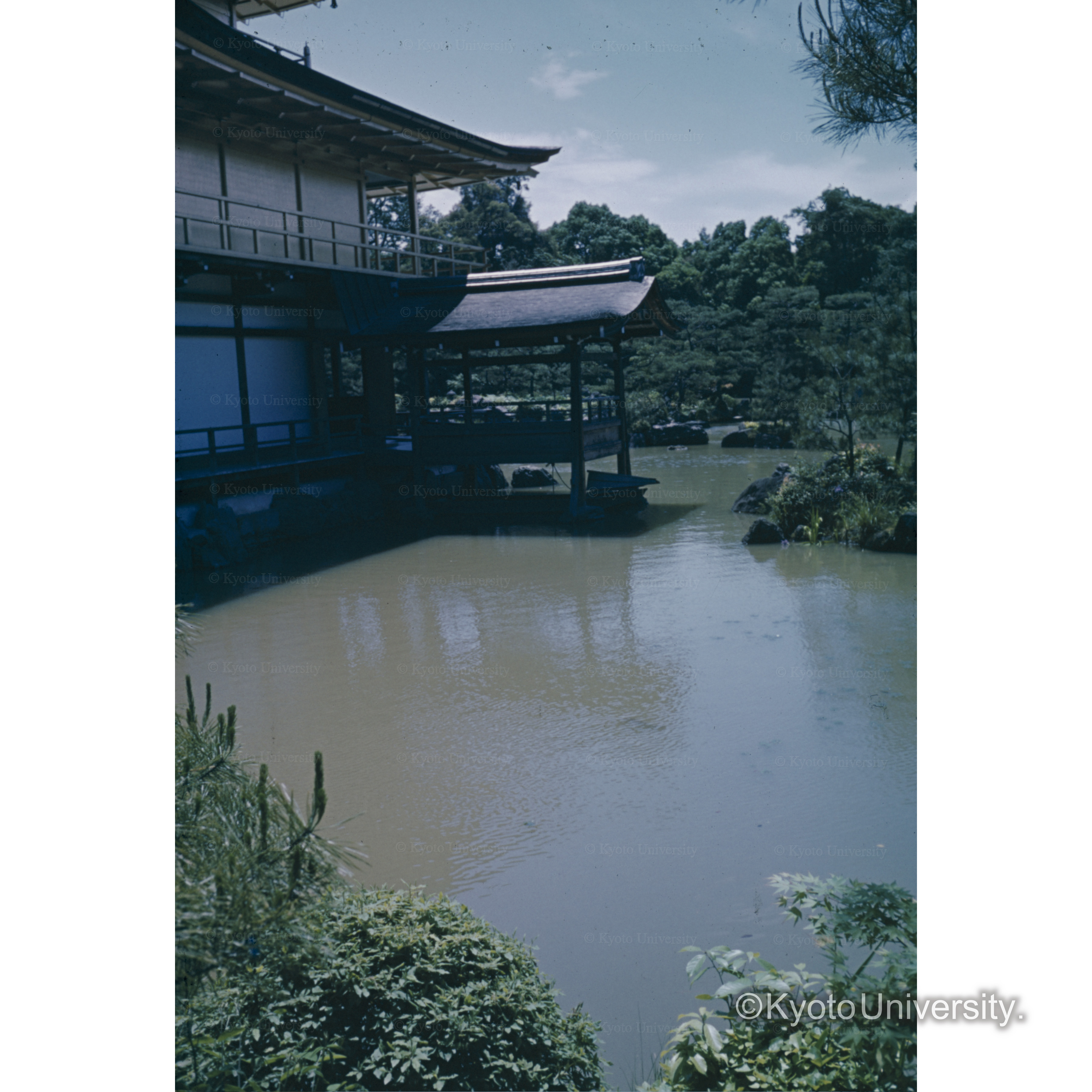 金閣寺　鏡湖池北岸から漱清をみる (1)