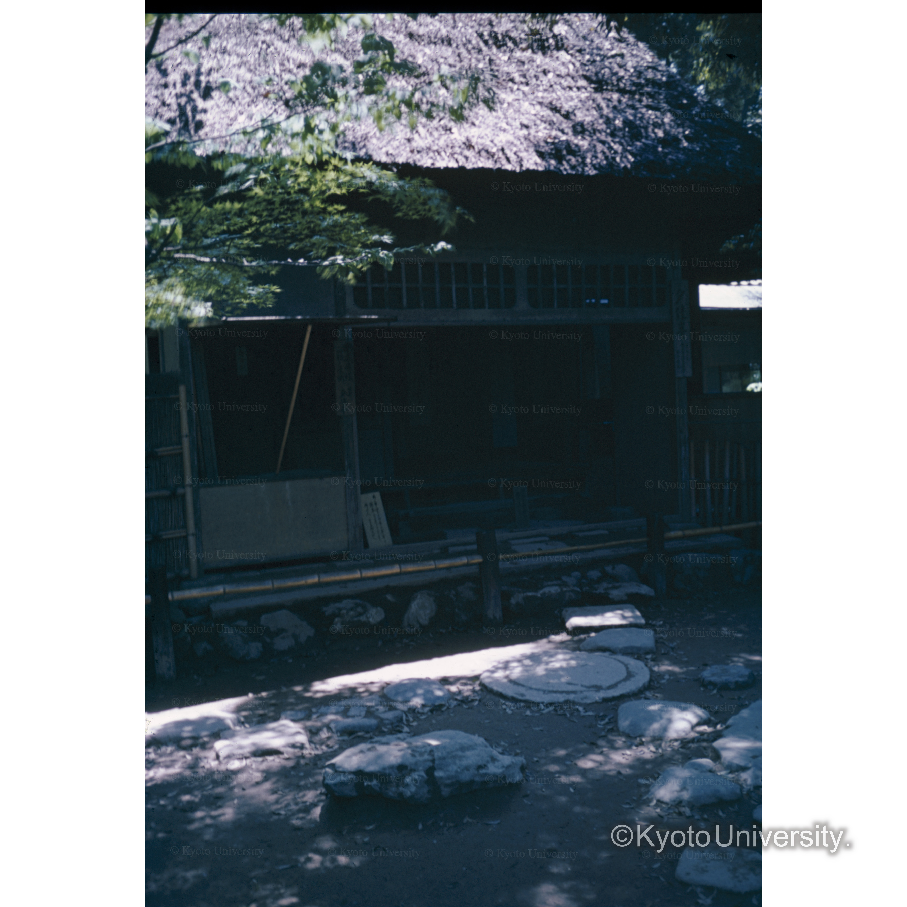 金閣寺　夕佳亭 (1)