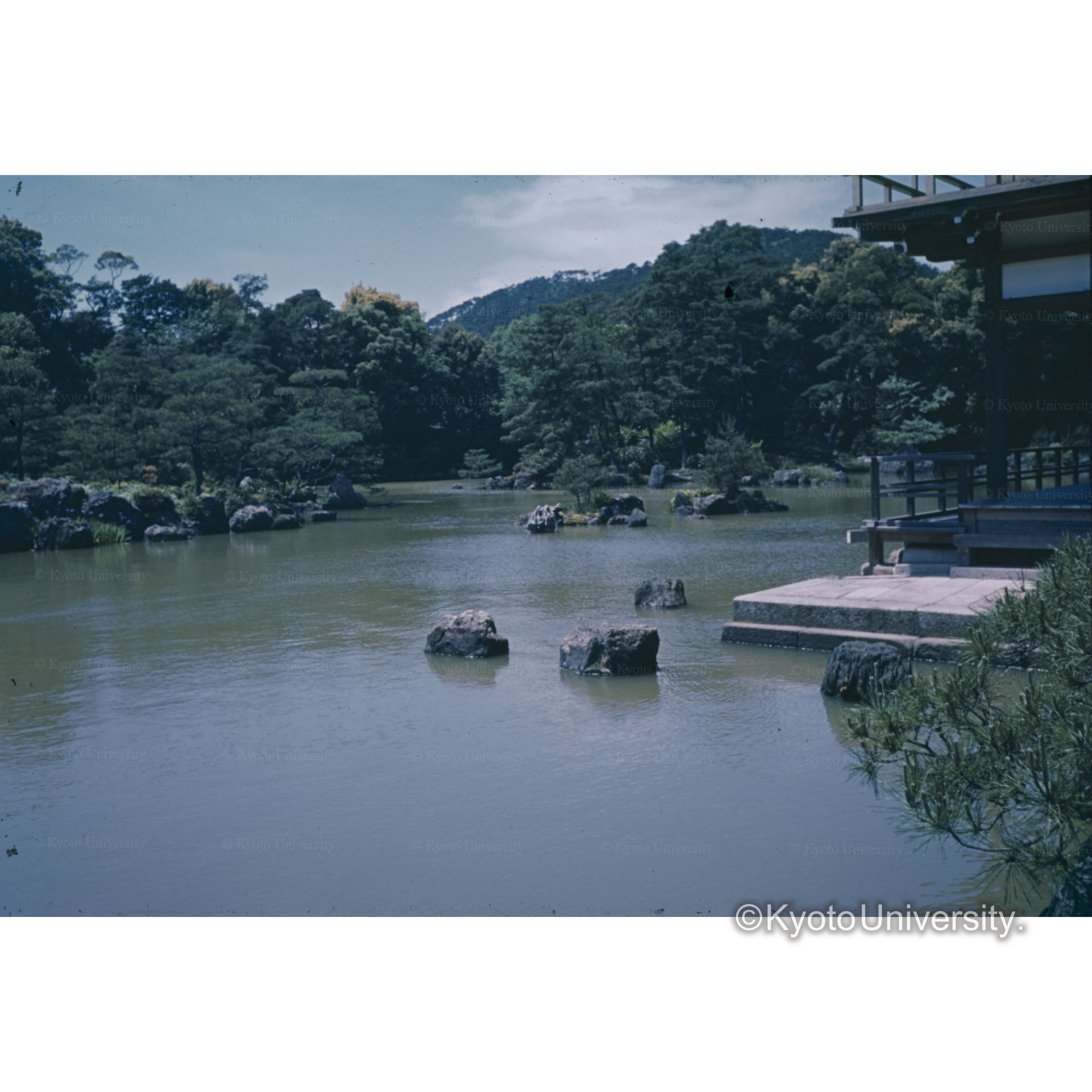 金閣寺庭園　鏡湖池夜泊石 (1)
