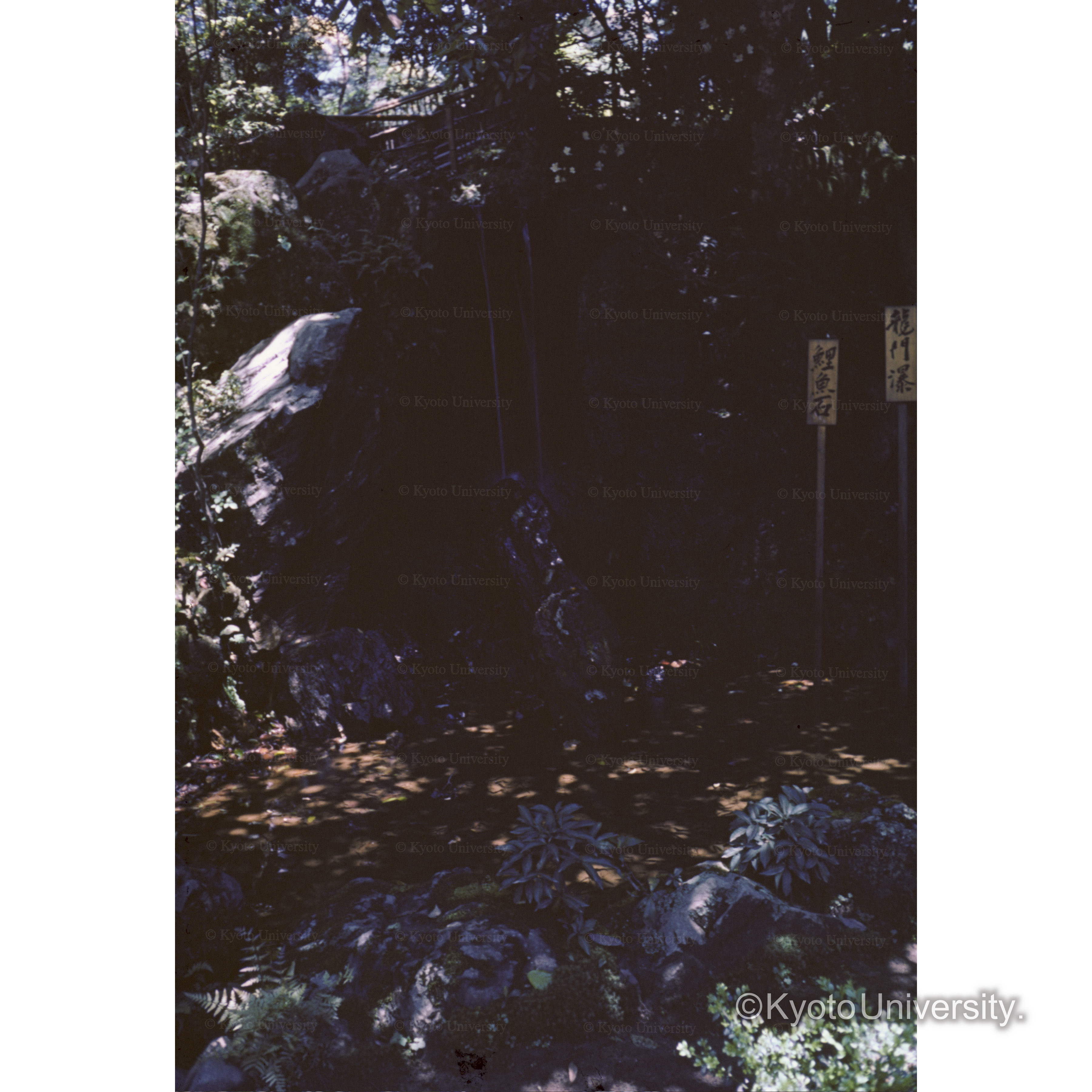 金閣寺庭園　滝門楼 (1)