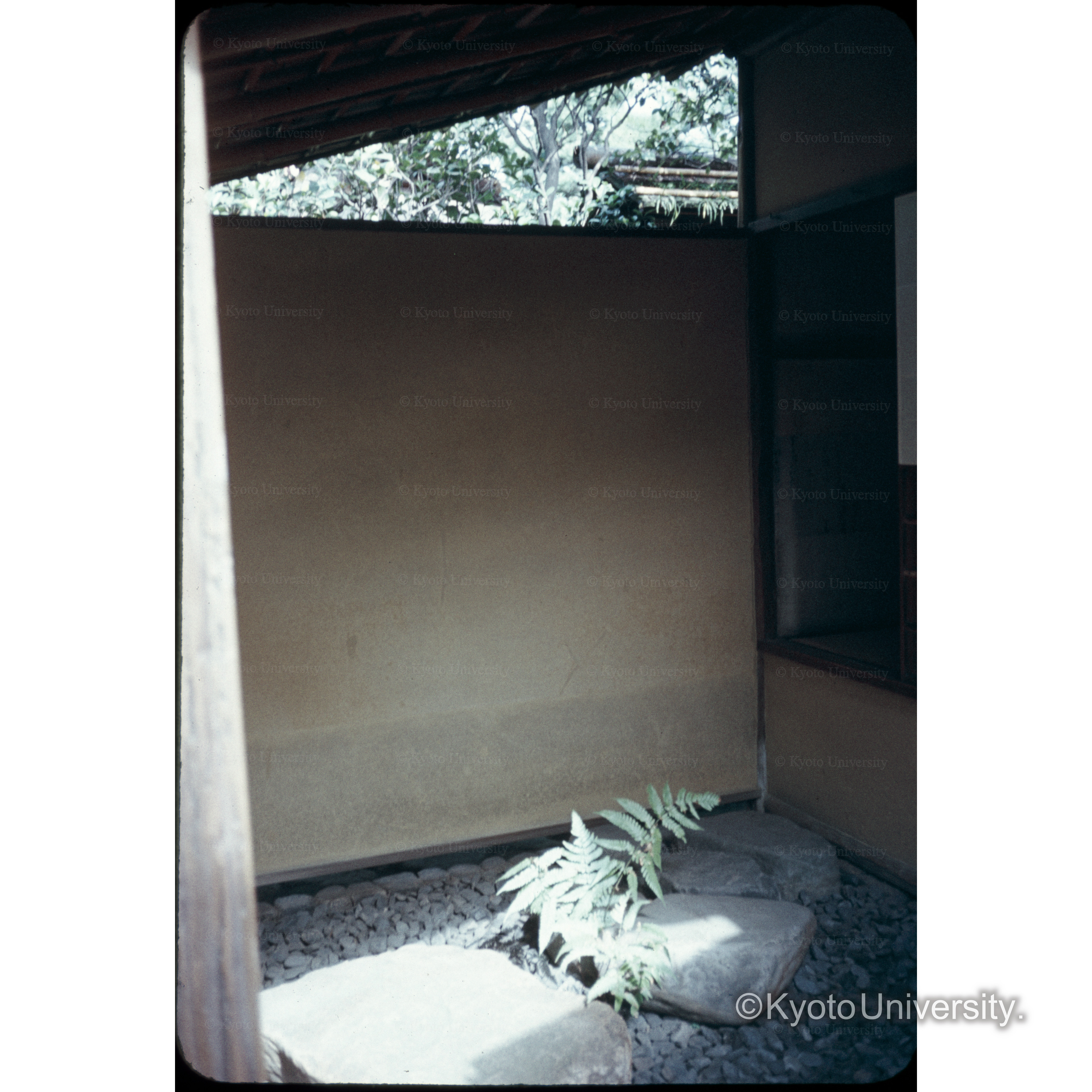 表千家祖堂及御茶室 (1)