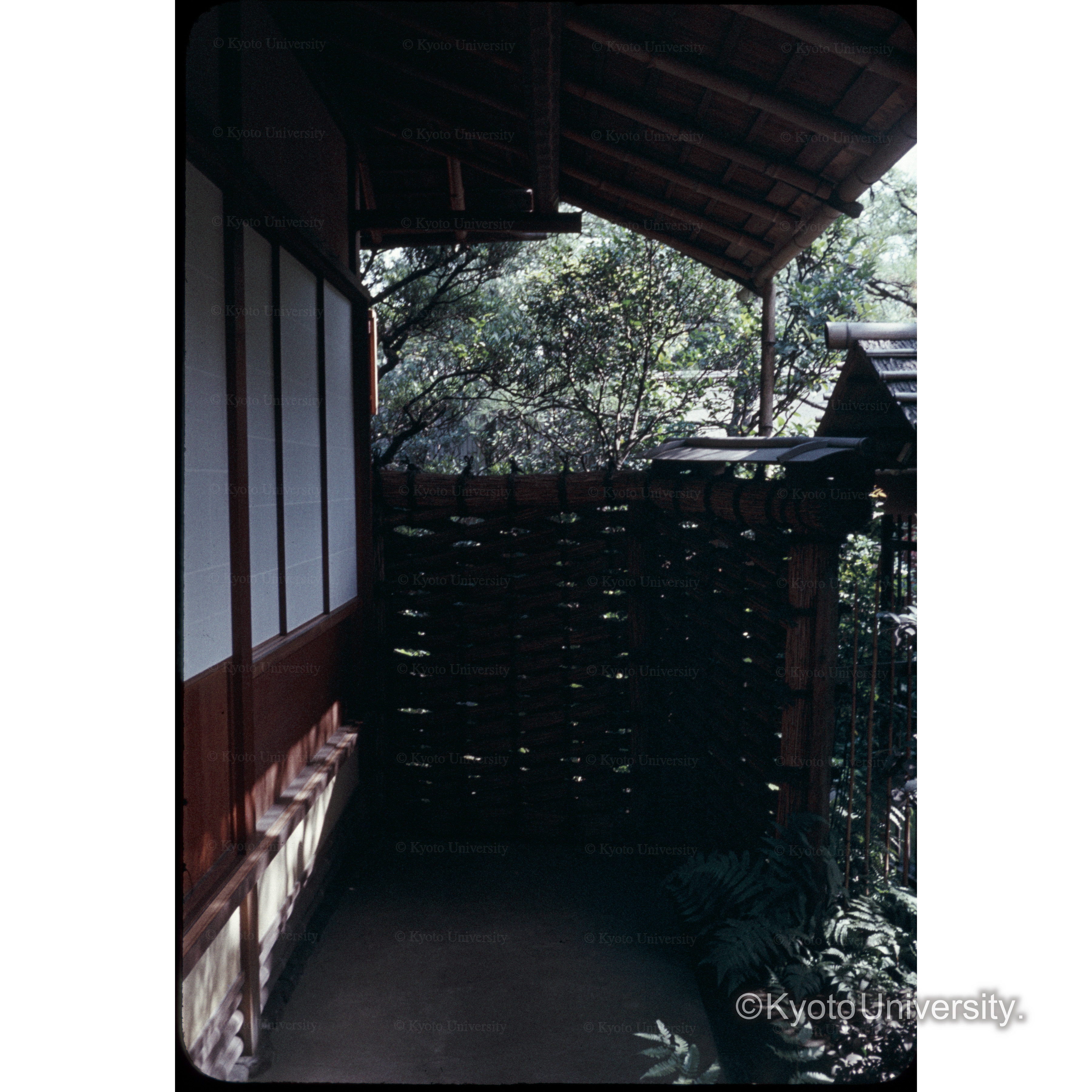 残月庵と隋流垣、不審庵 (1)