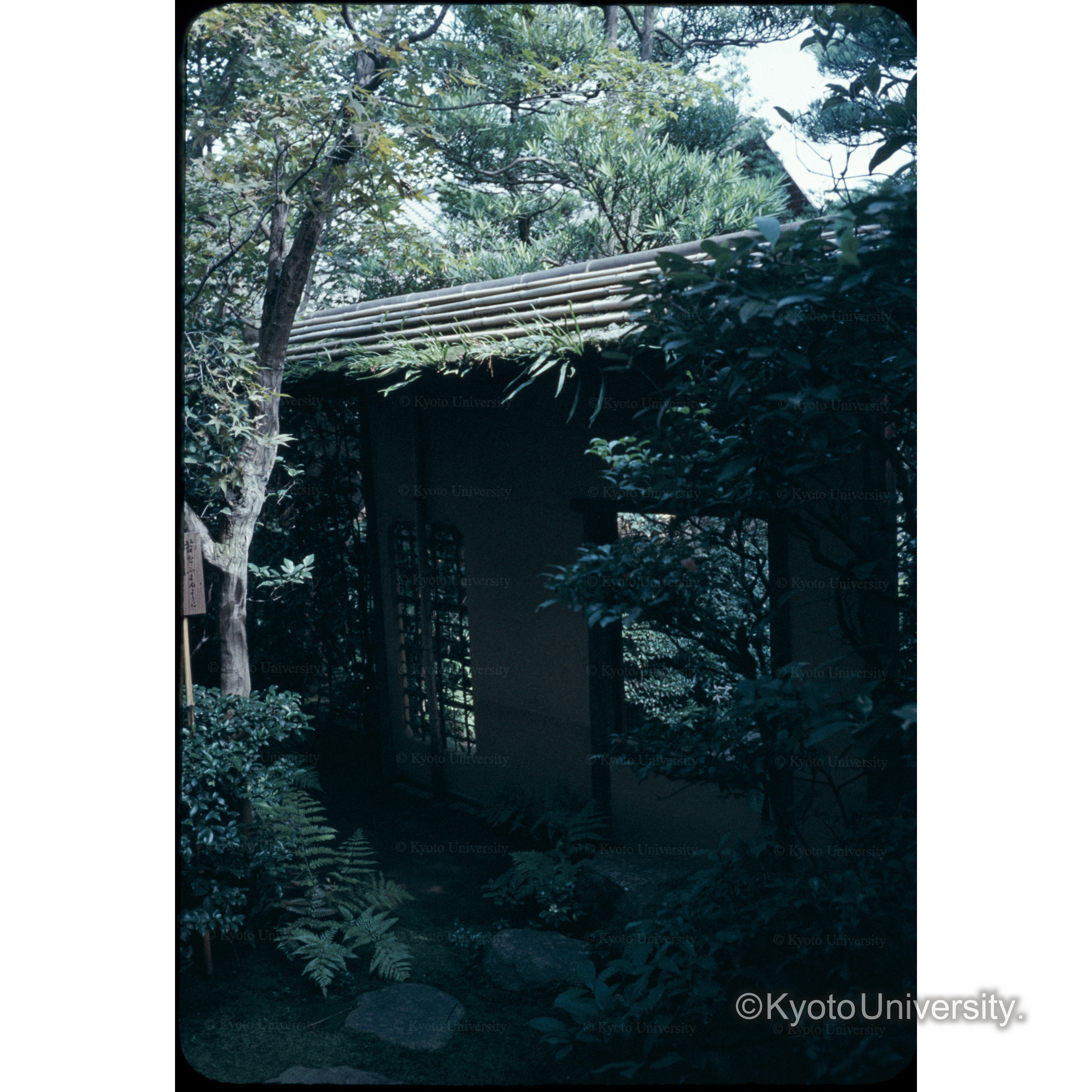 表千家中潜り (1)