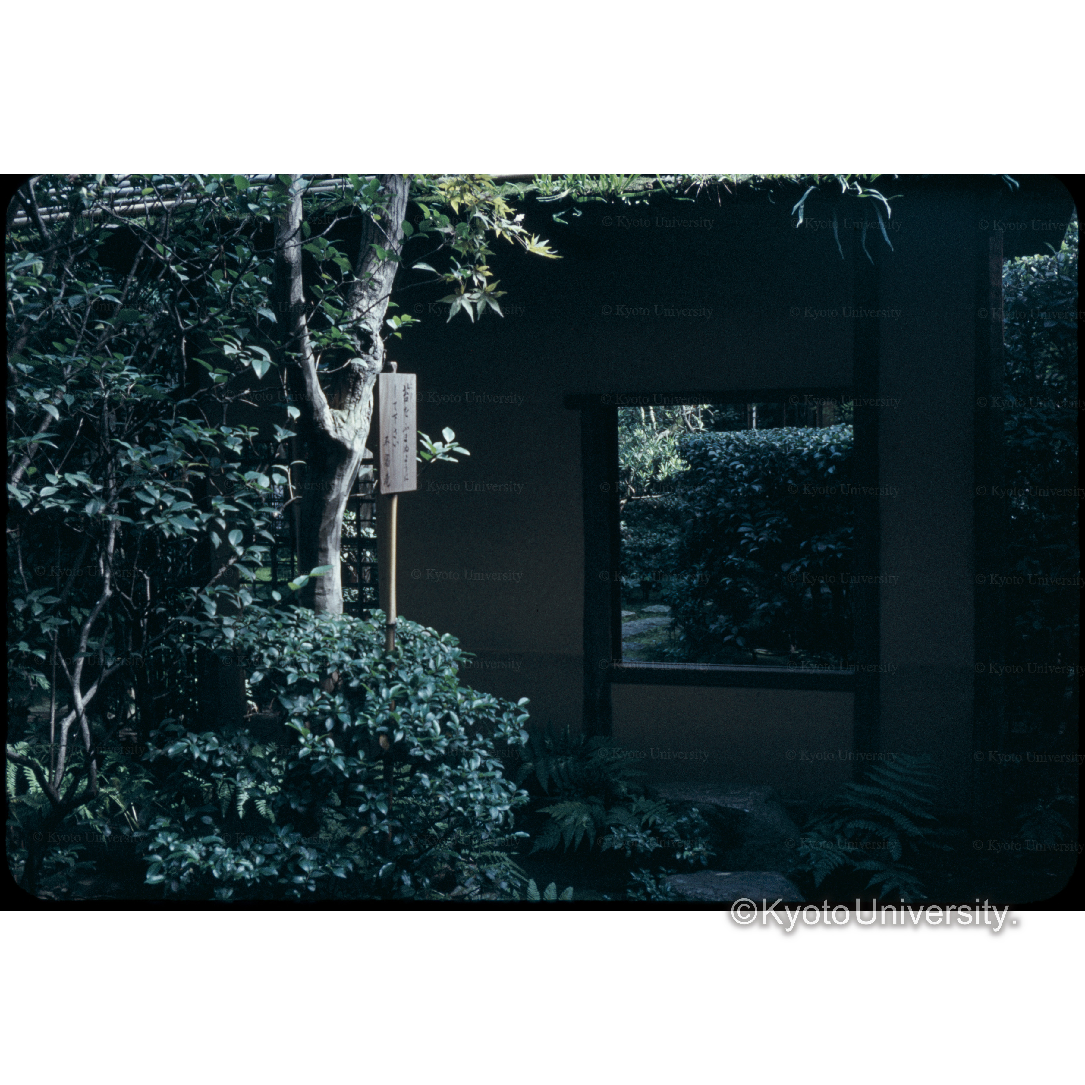 表千家中潜り (1)