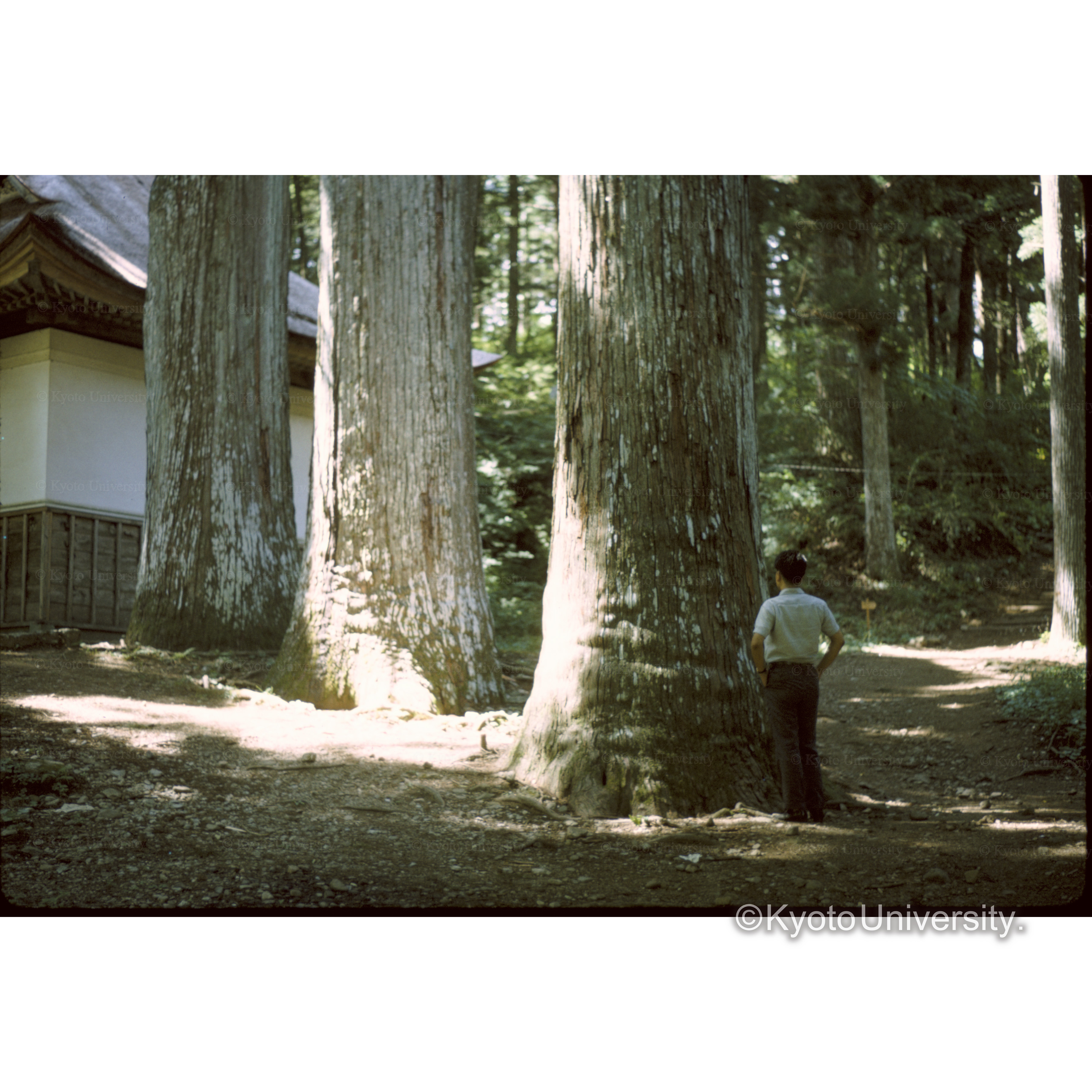 光前寺(駒ヶ根) (1)