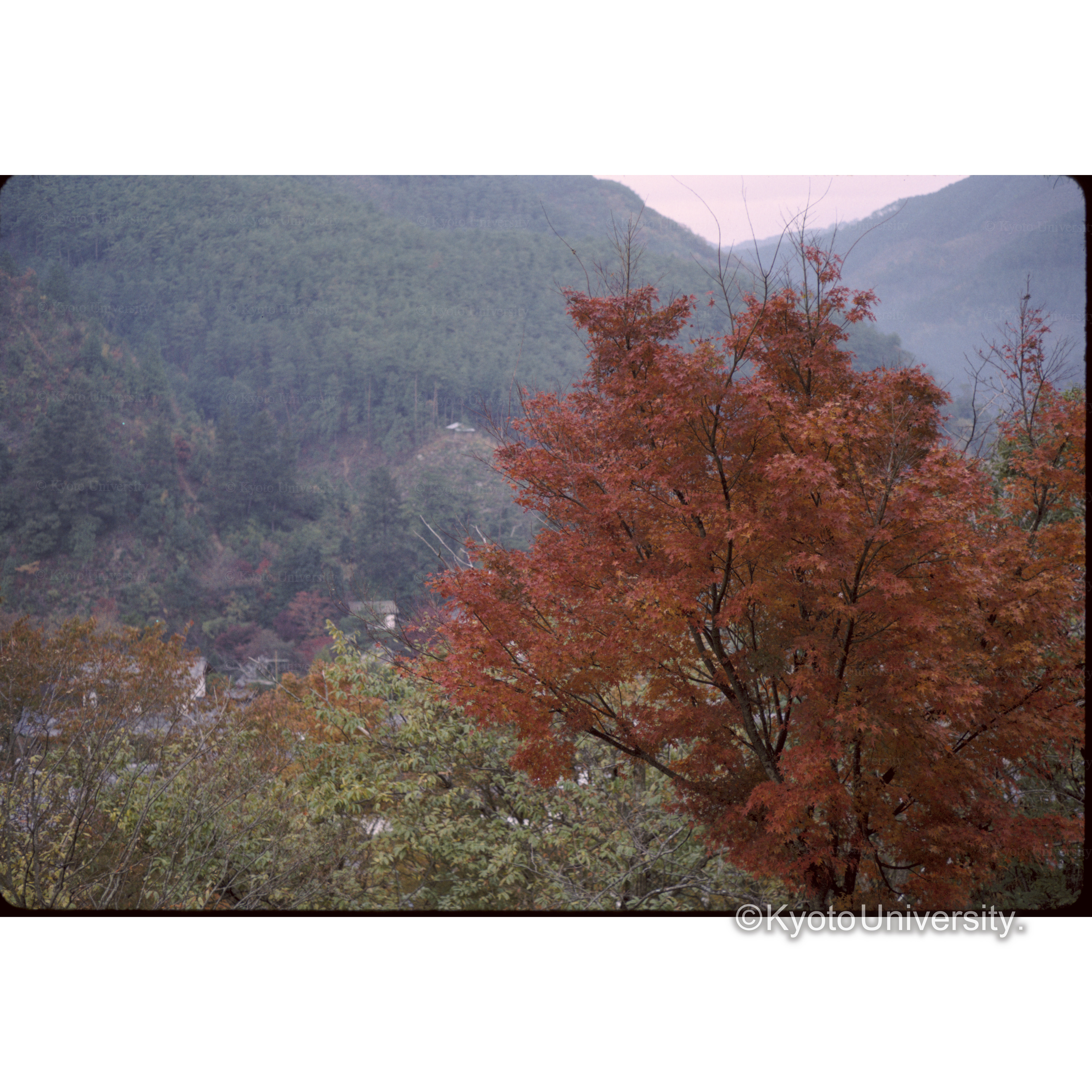 西山ハイウェー (1)