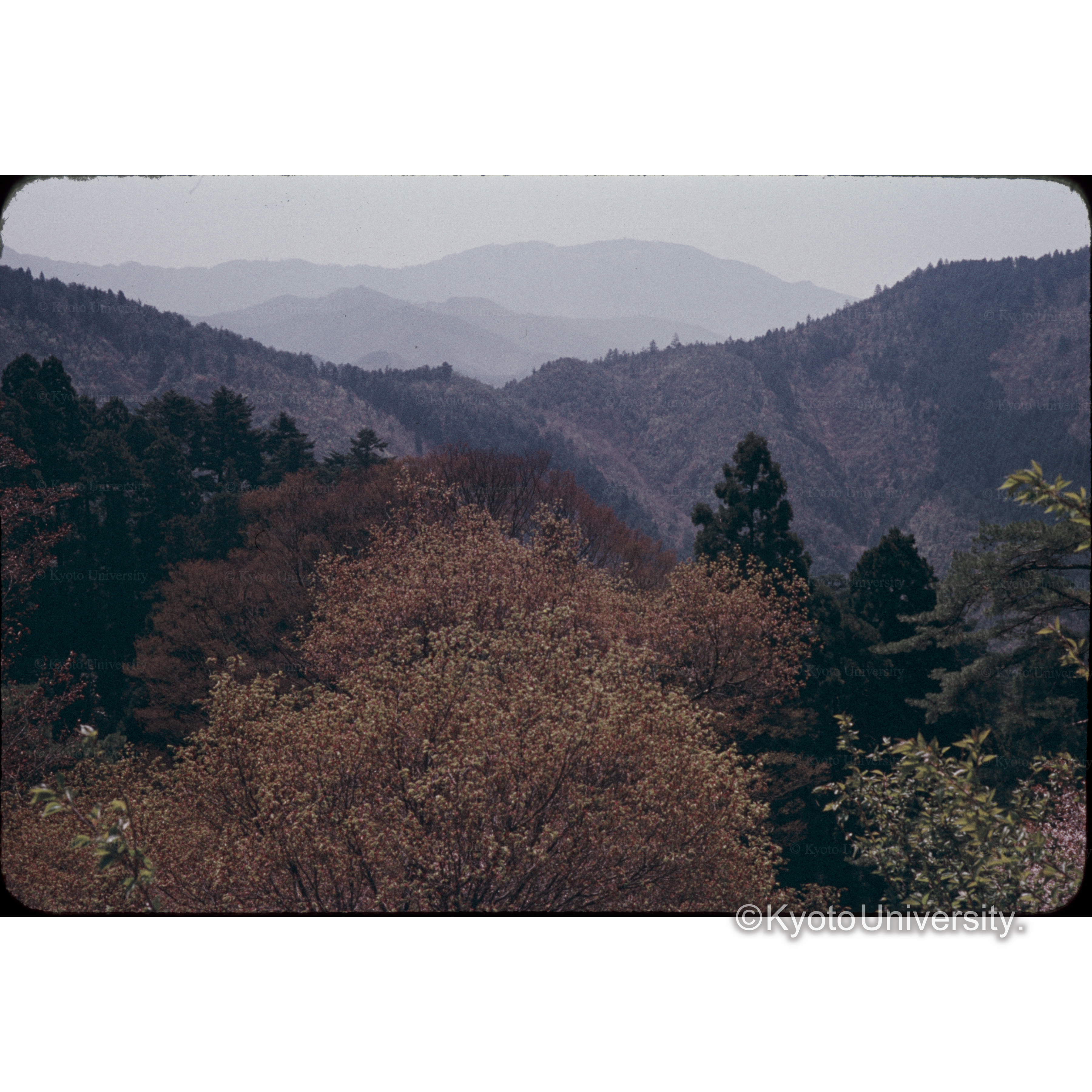 鞍馬神社より (1)