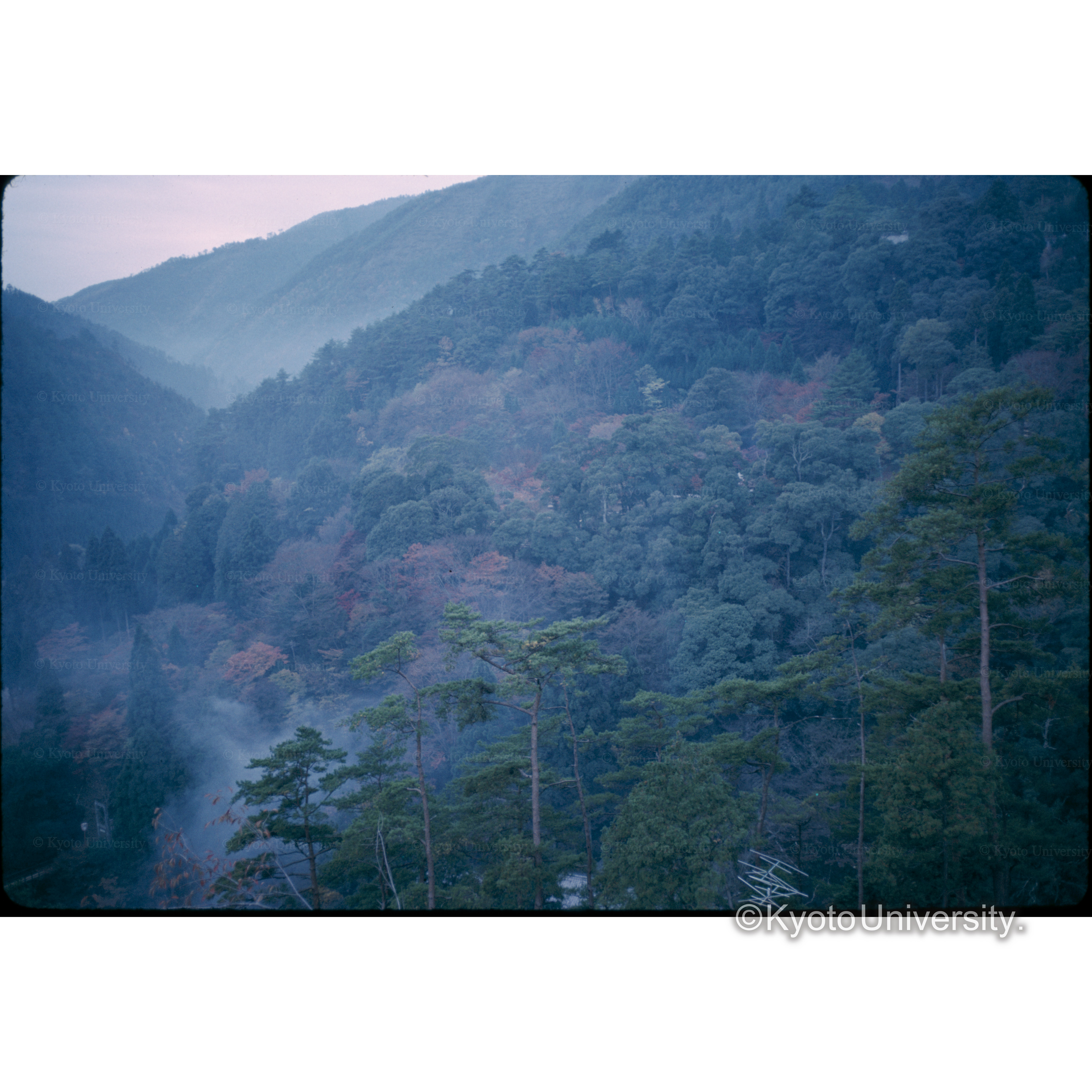 西山ハイウェー (1)