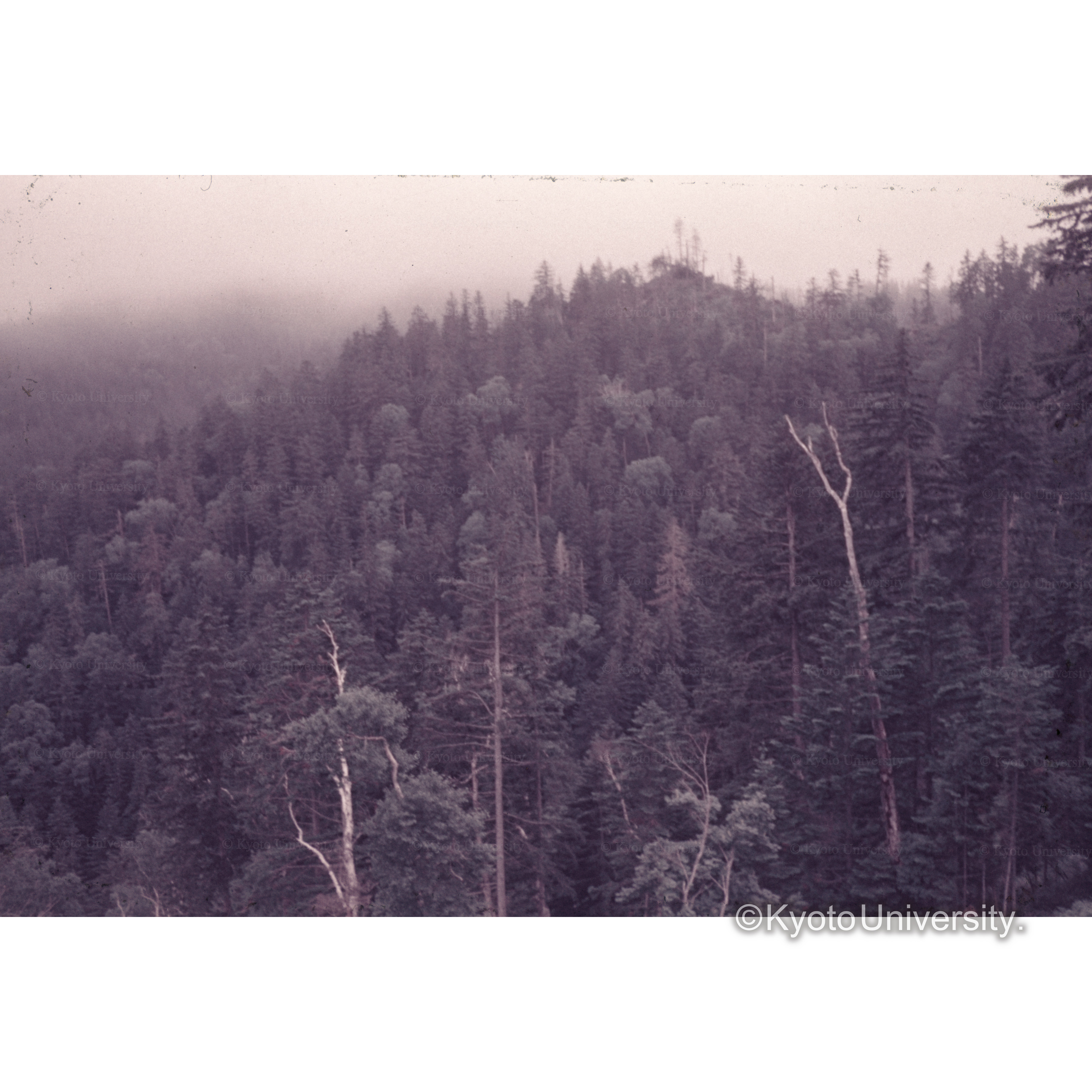 層雲峡付近石北トウゲ (1)
