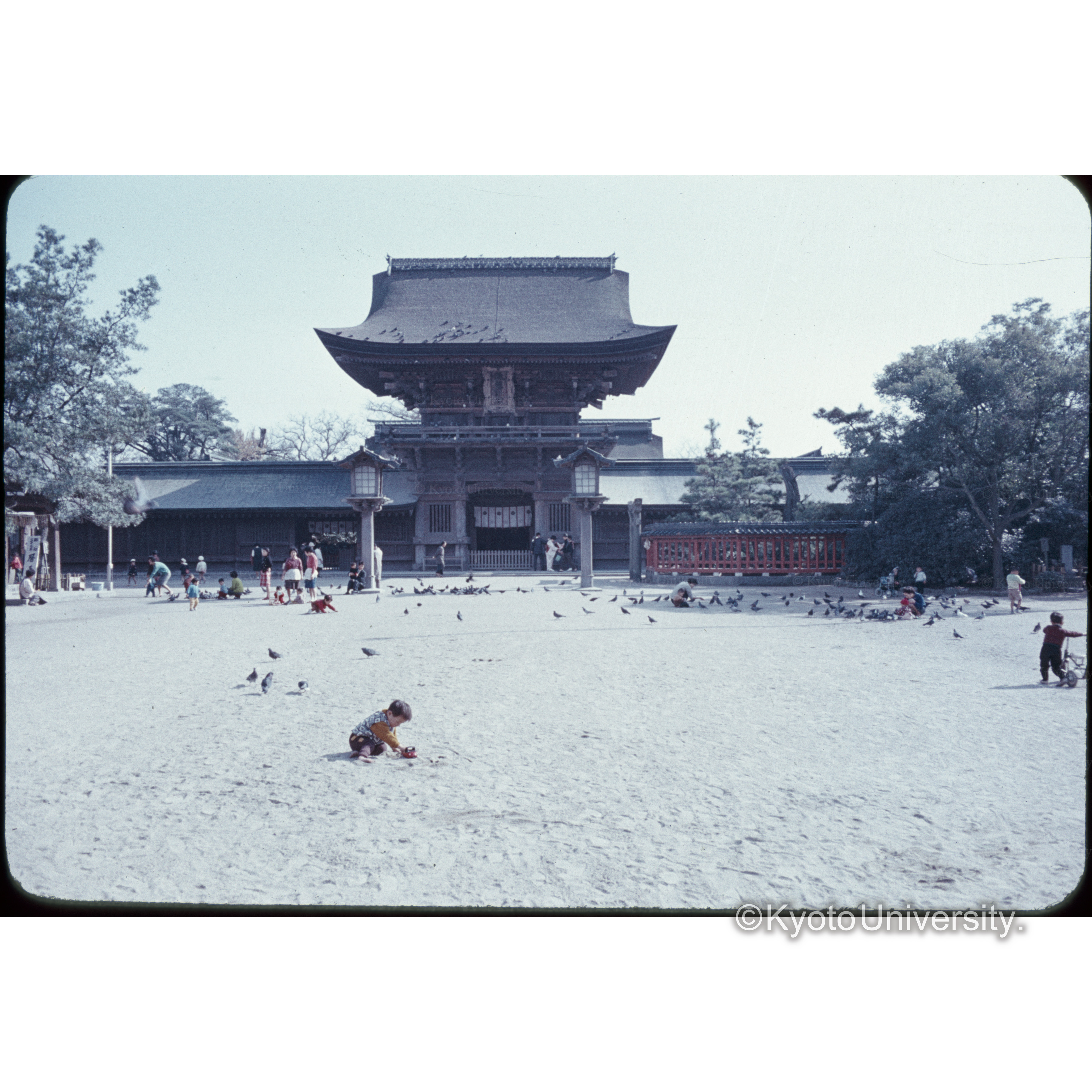 筑州神社、福岡 (1)