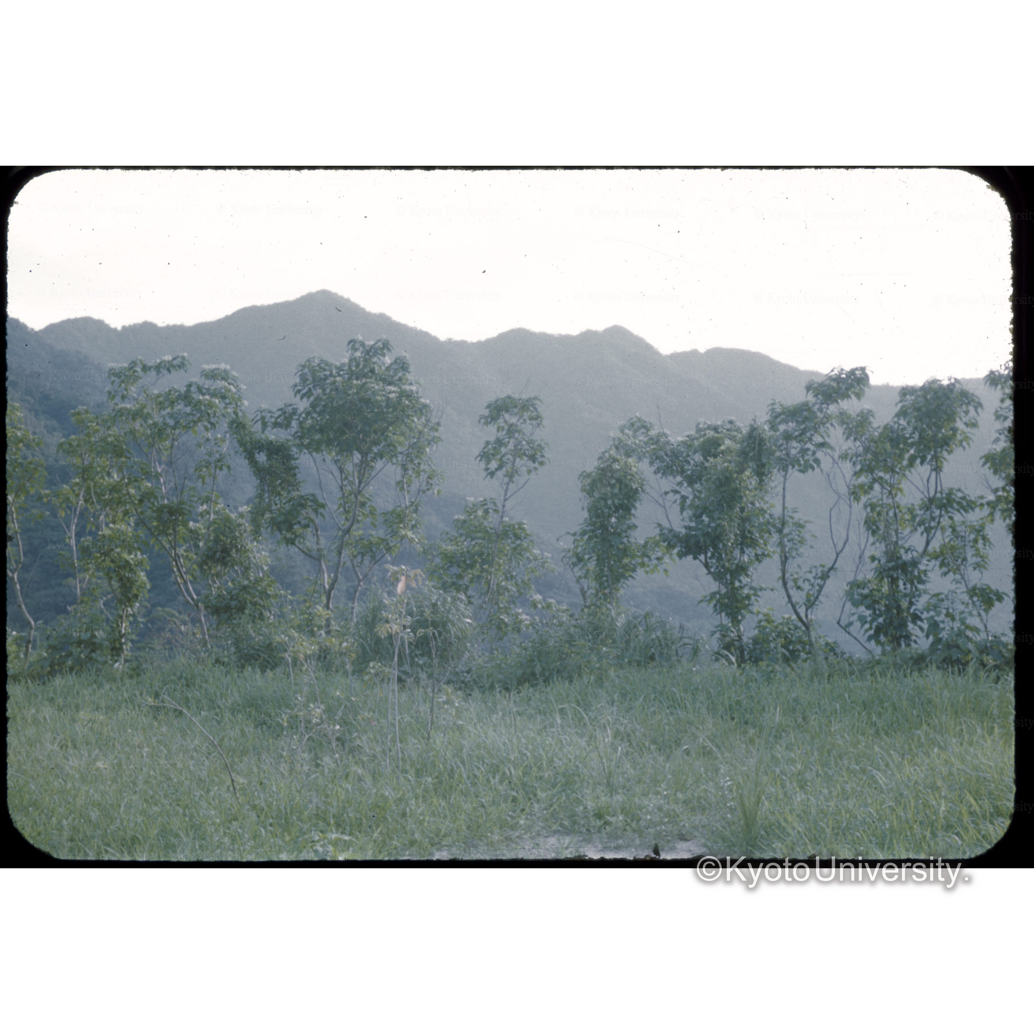 宮之浦事務所 (1)