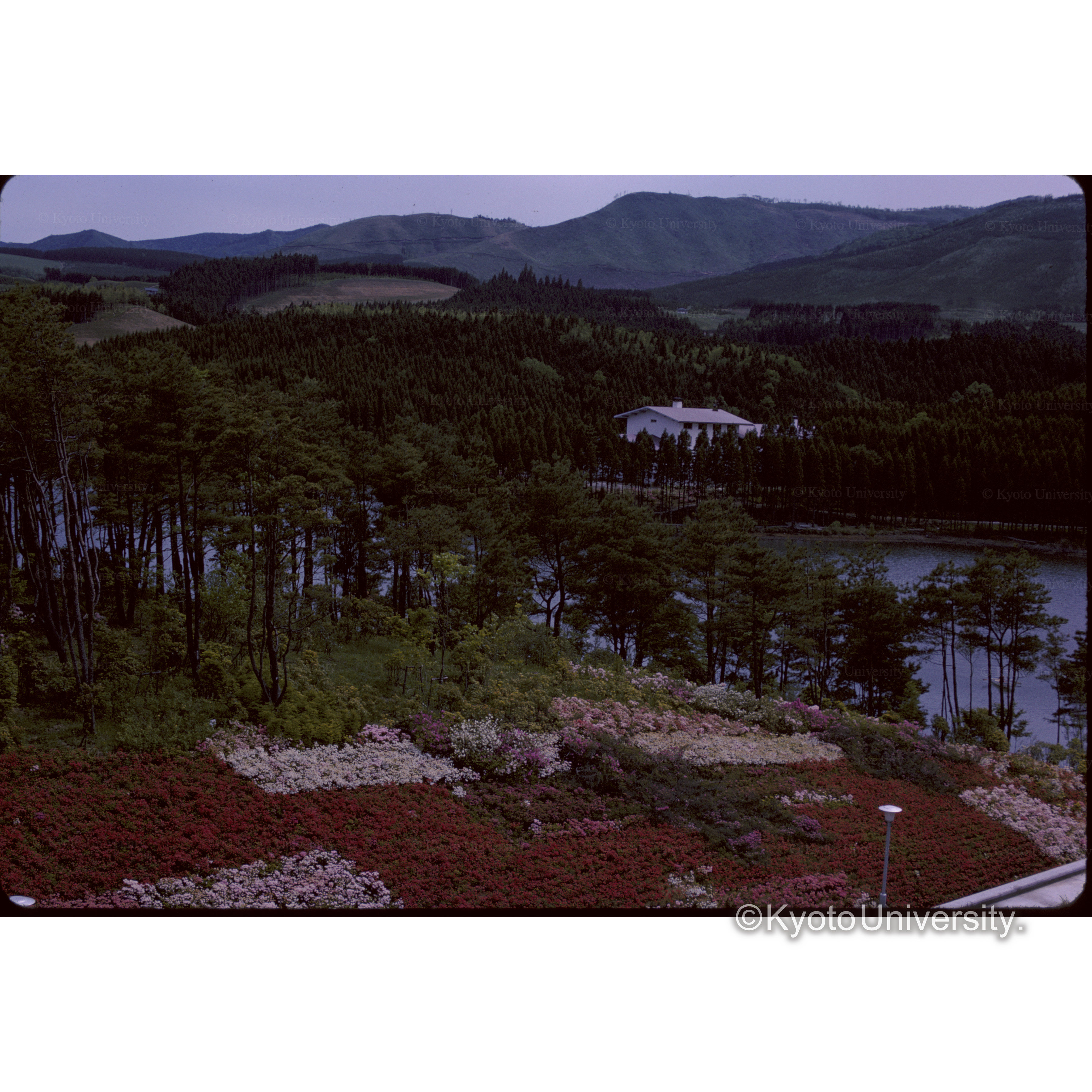 Kuju Lake Side Hotel (1)