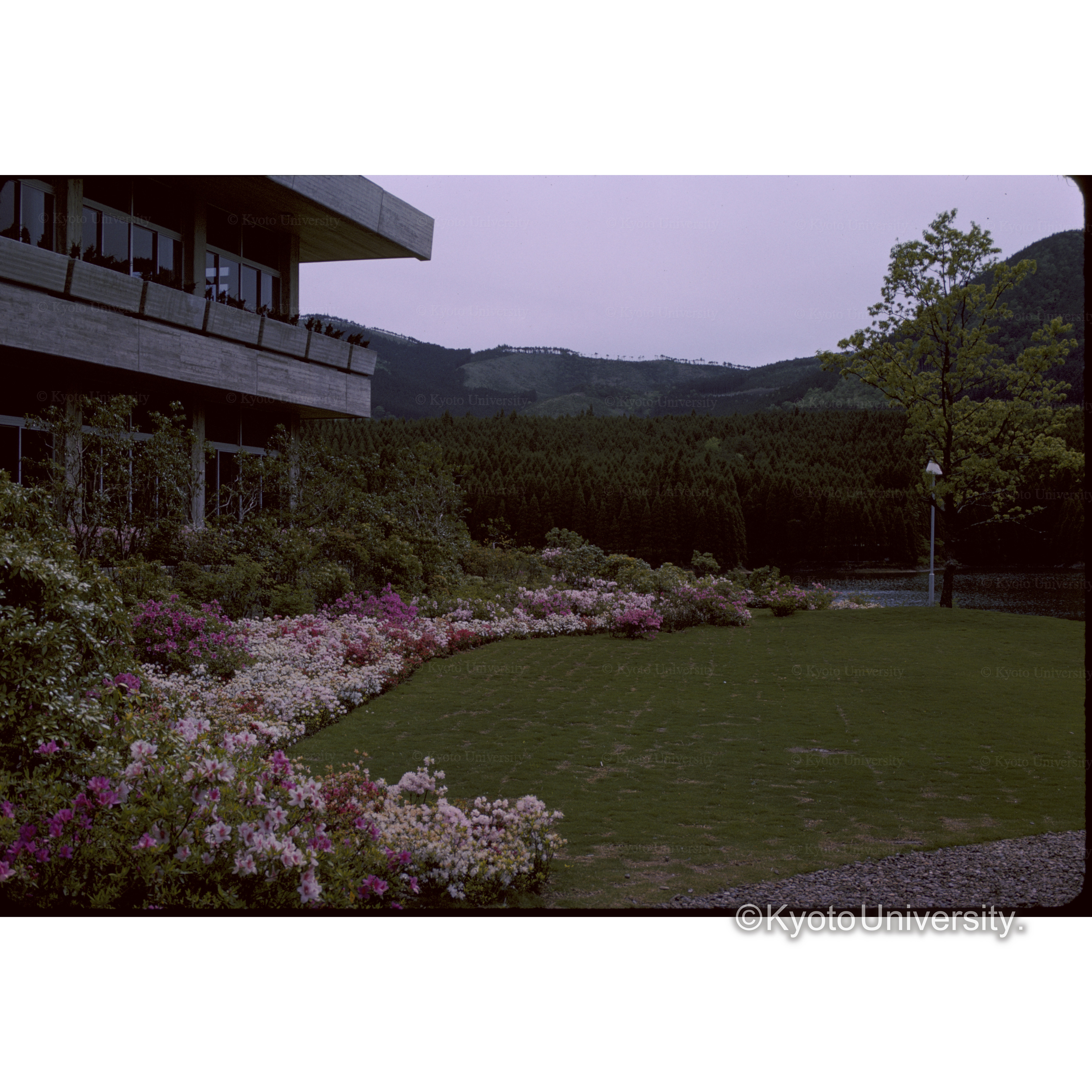 Kuju Lake Side Hotel (1)