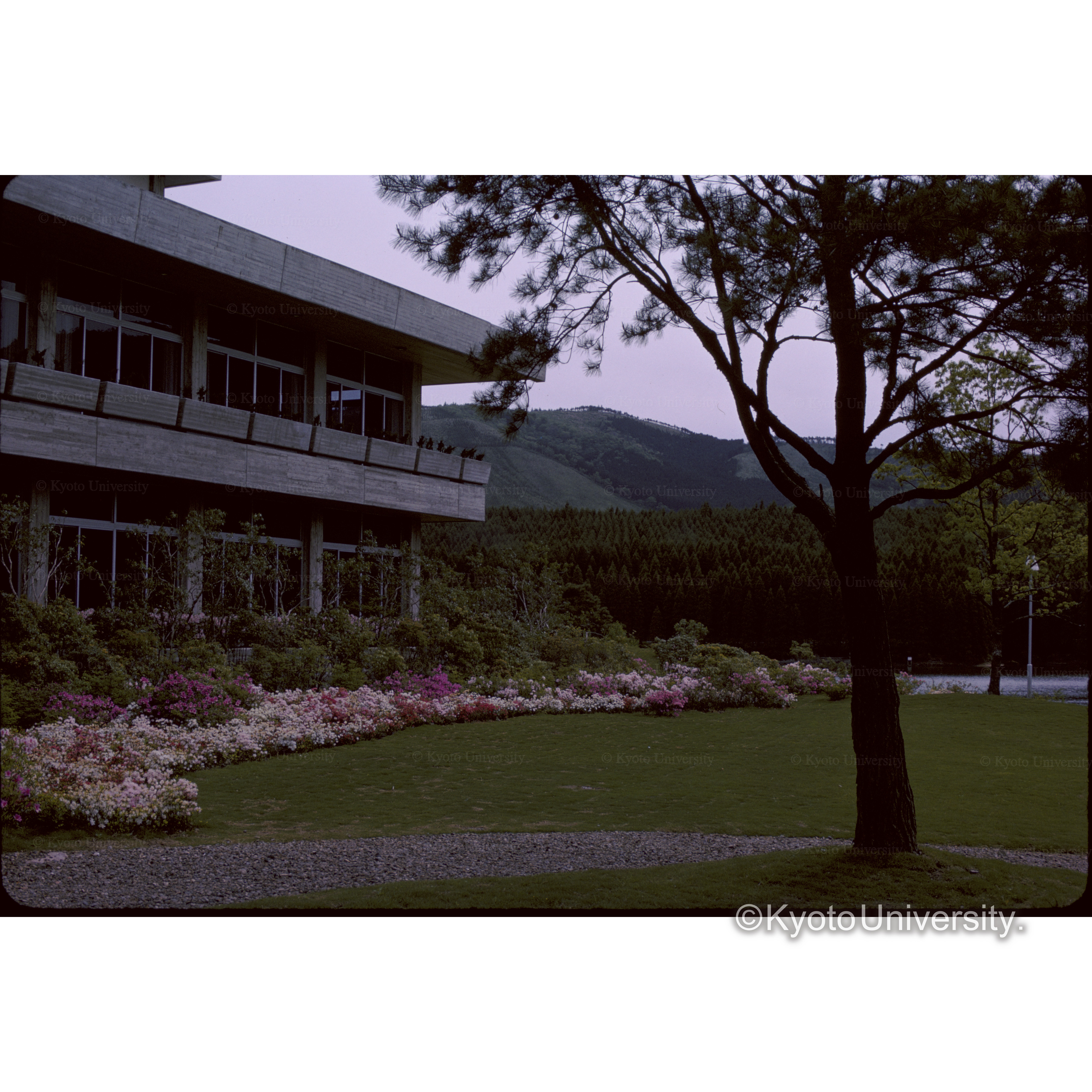 Kuju Lake Side Hotel (1)