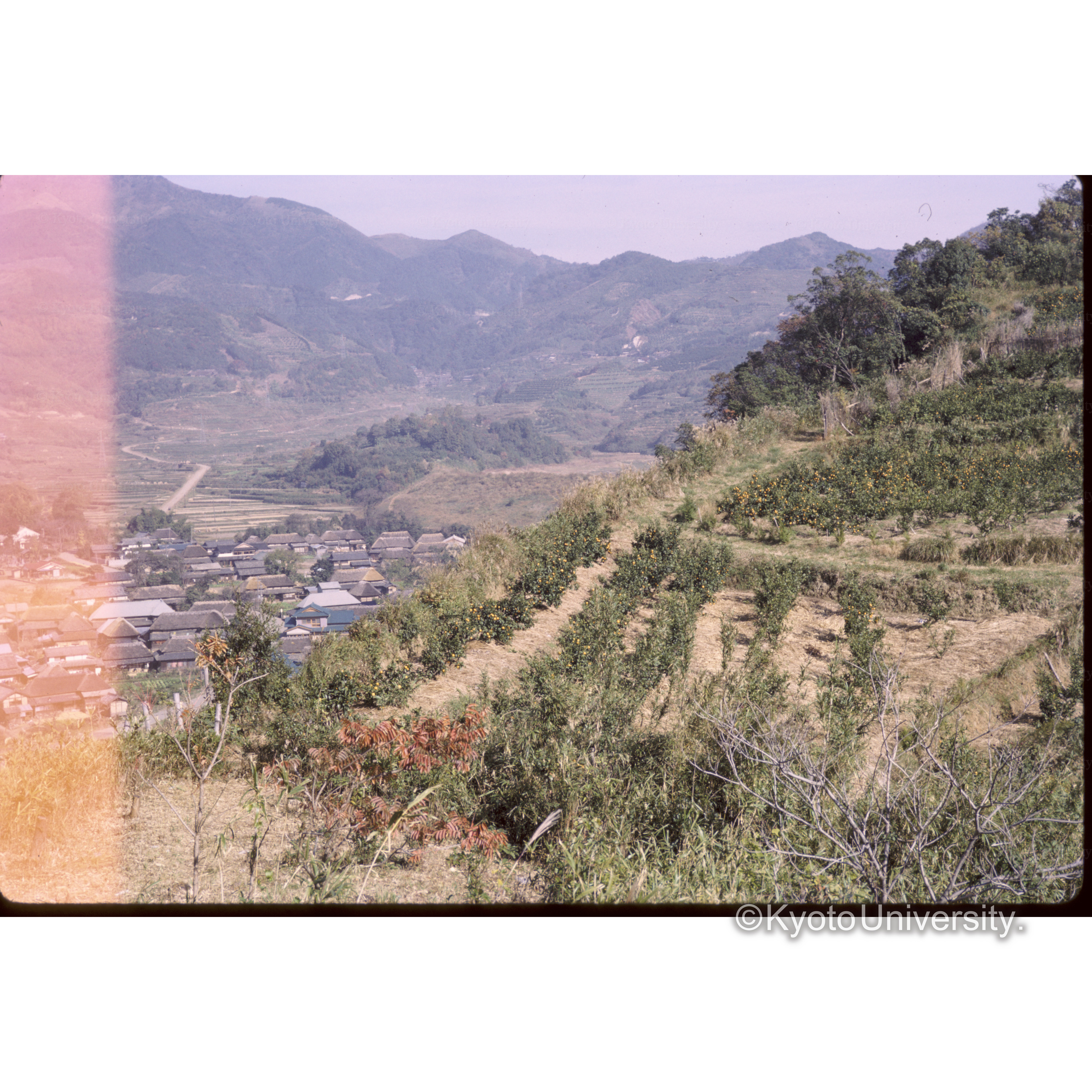 佐賀神社上(千栗城址)から天山方面をみる (1)