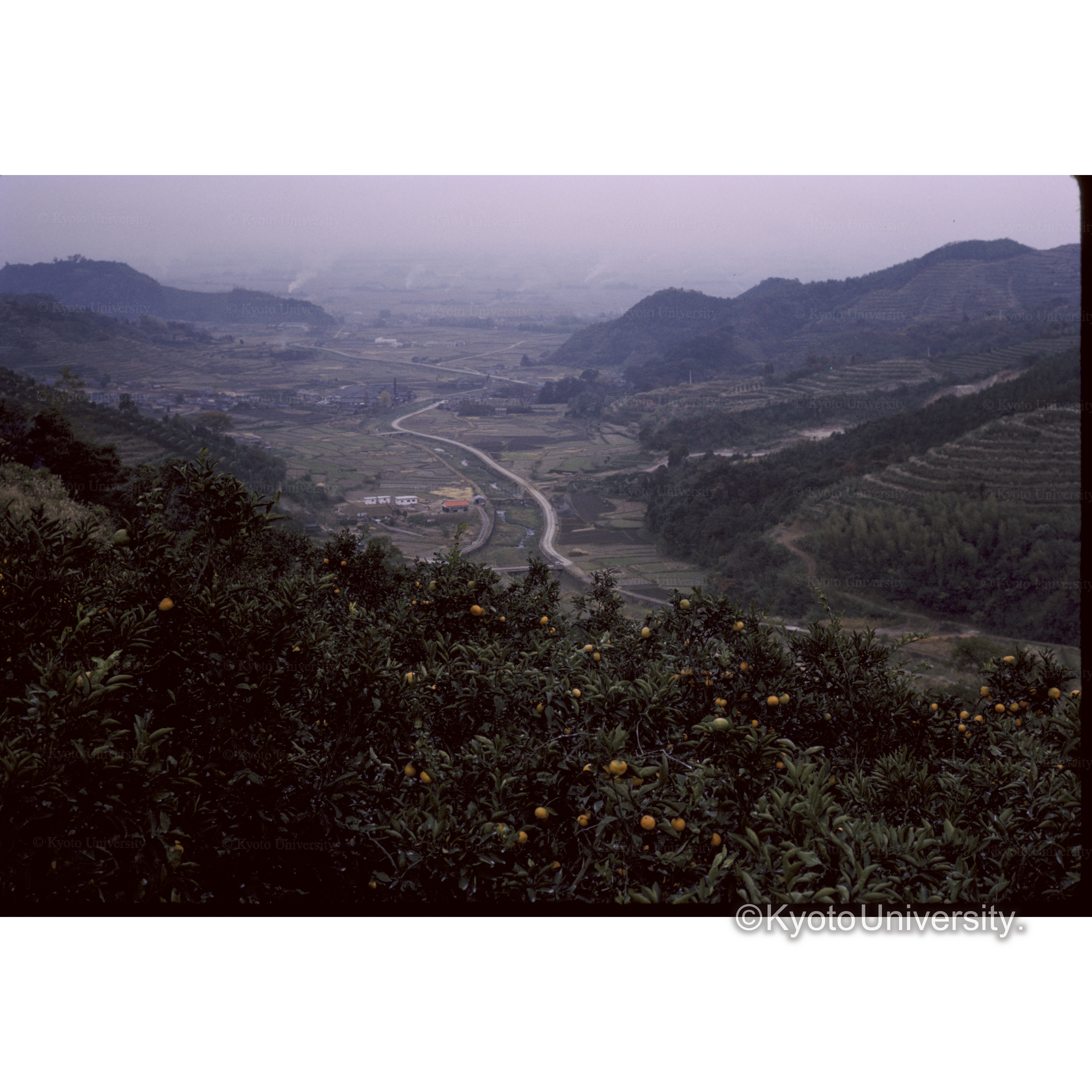 猫石　小城町 (1)