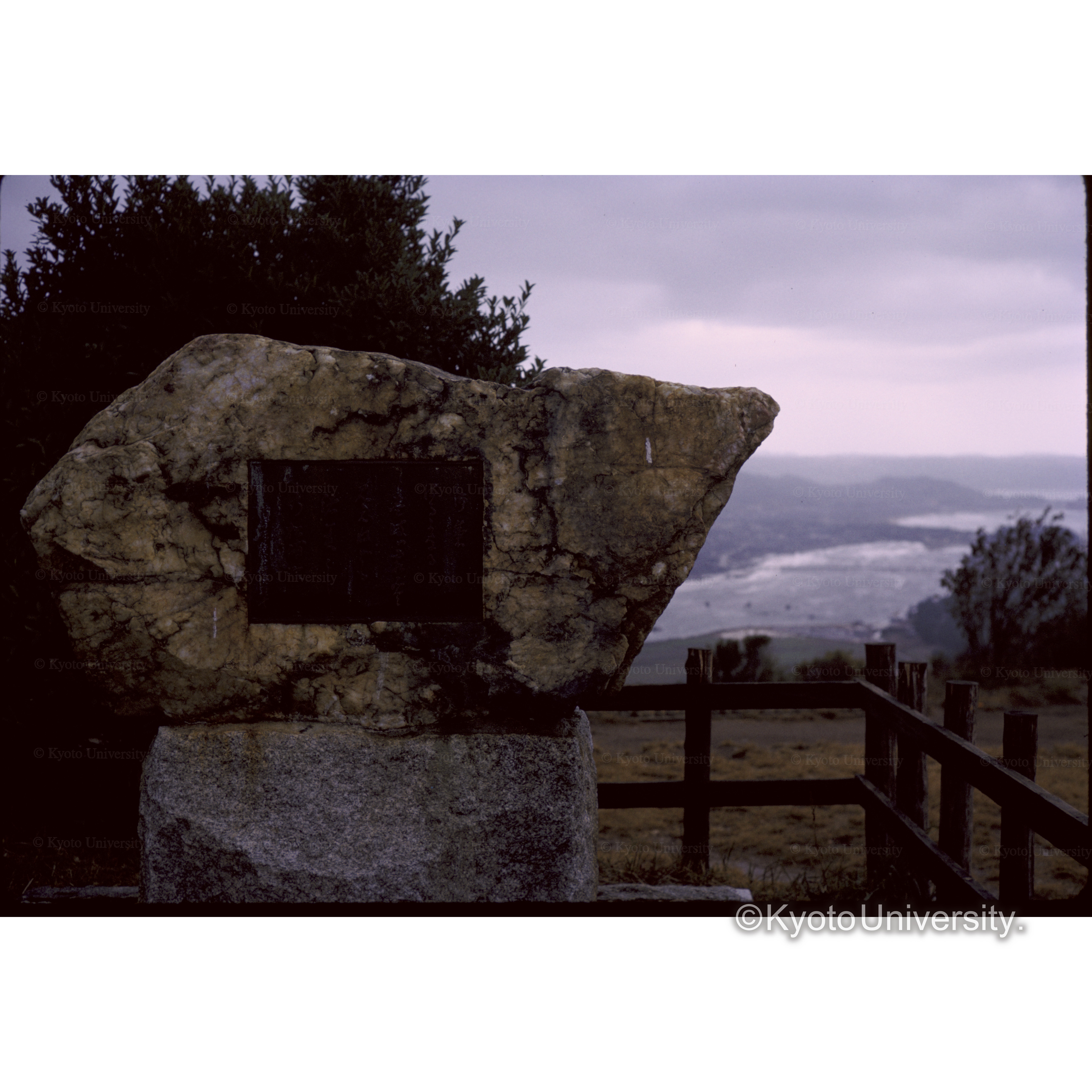 ニジ(虹)ノ松原 (1)