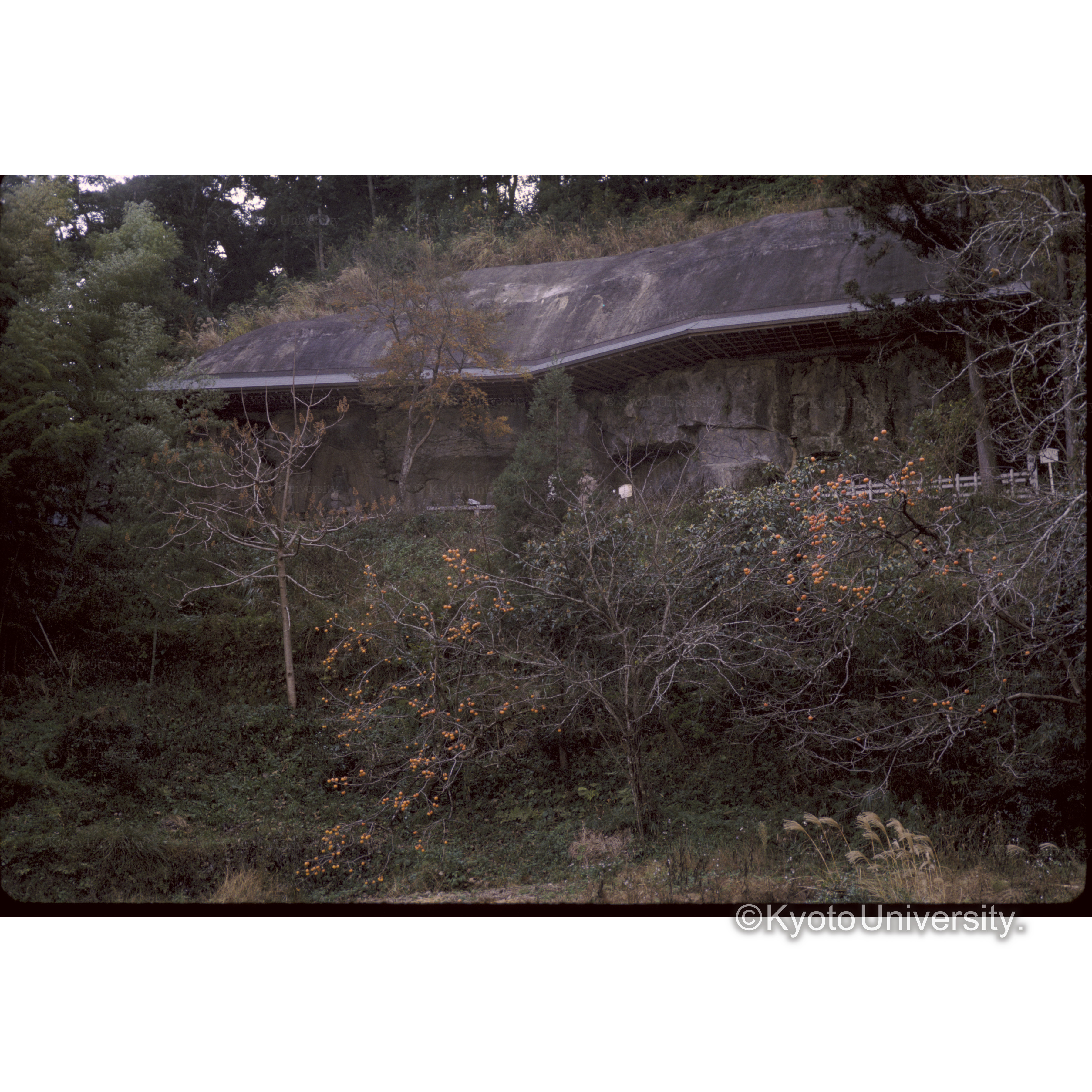 古園石仏屋ね (1)