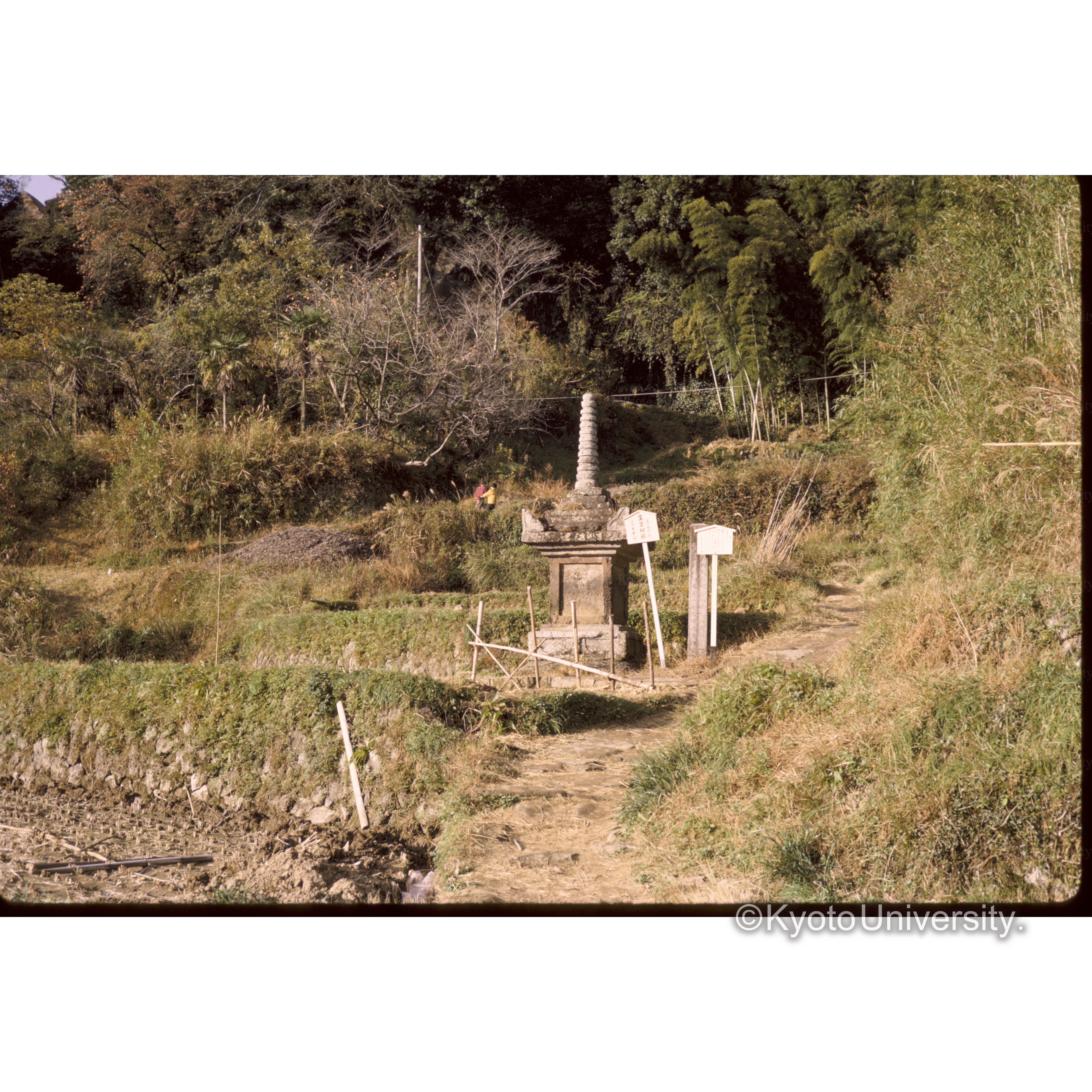 日吉塔、臼杵石仏 (1)