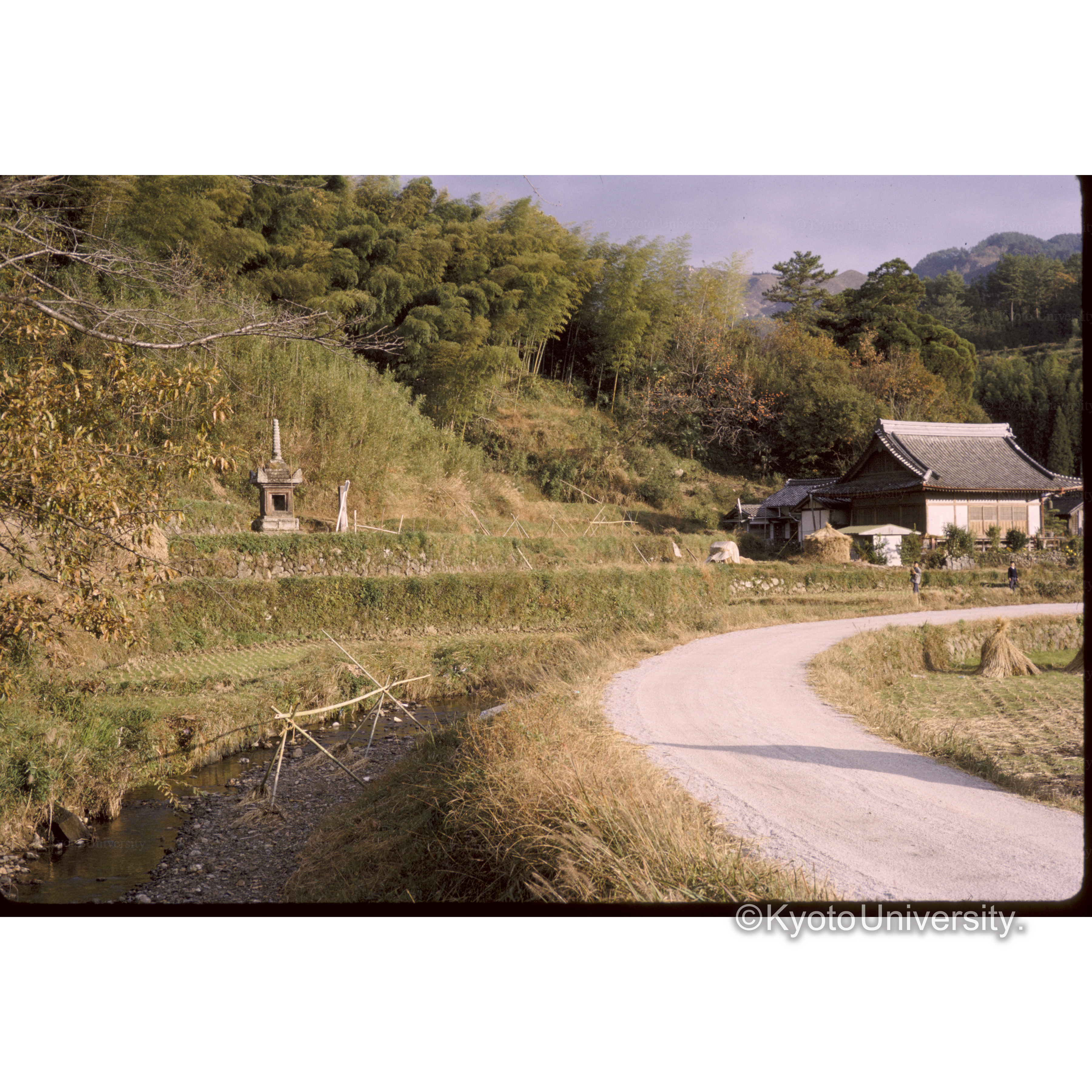 臼杵石仏付近 (1)