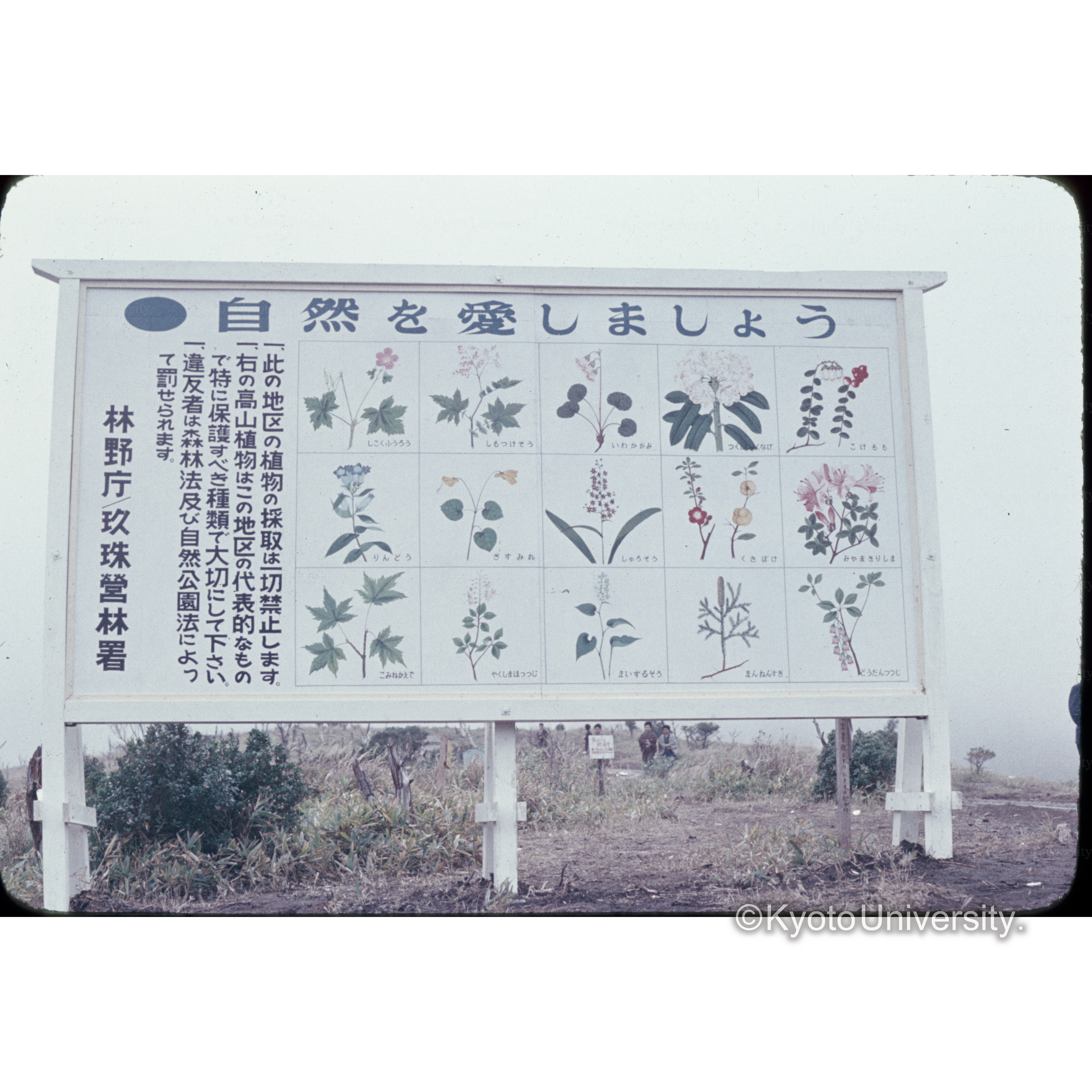 九州横断道路(23) (1)