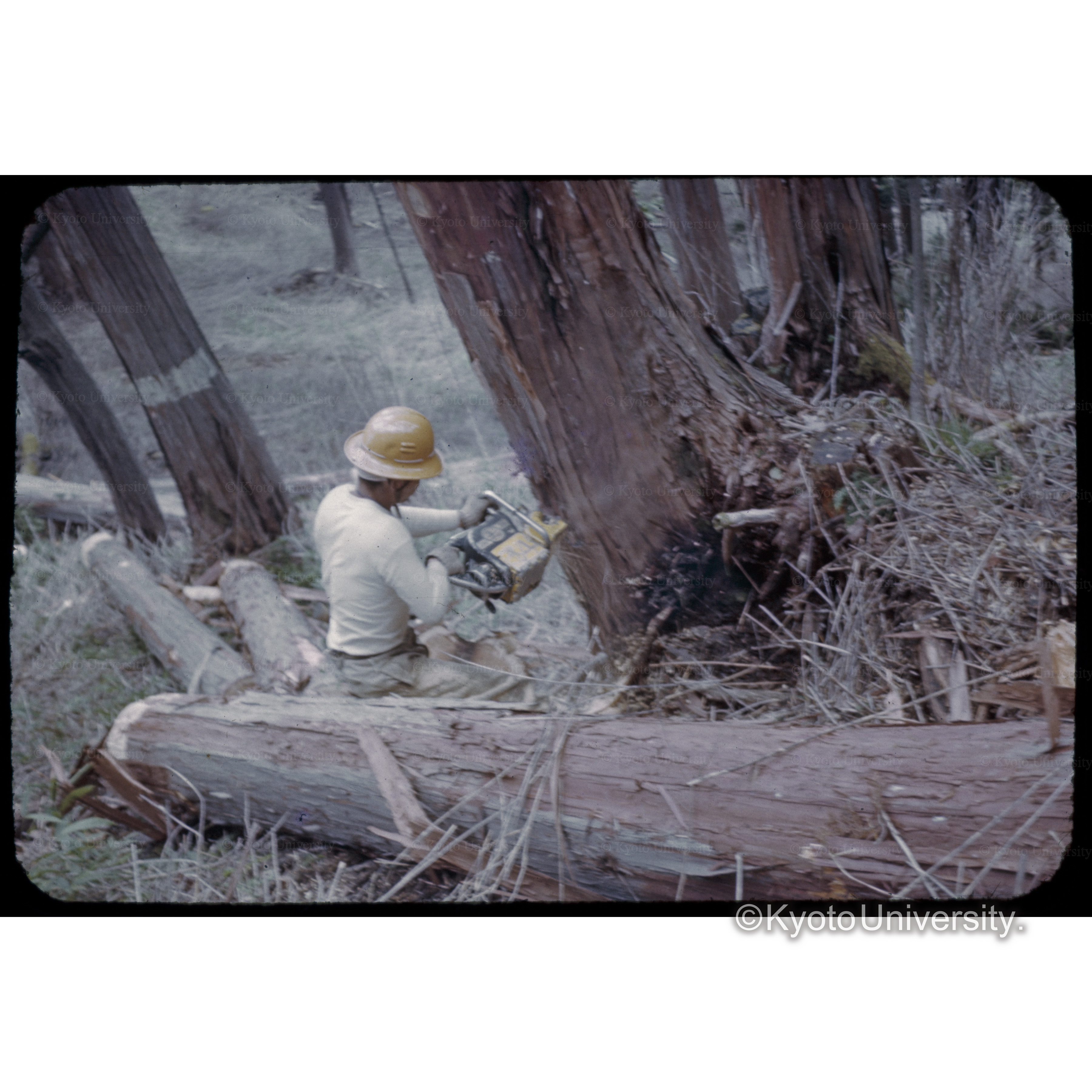 木曽三浦事業区 (1)