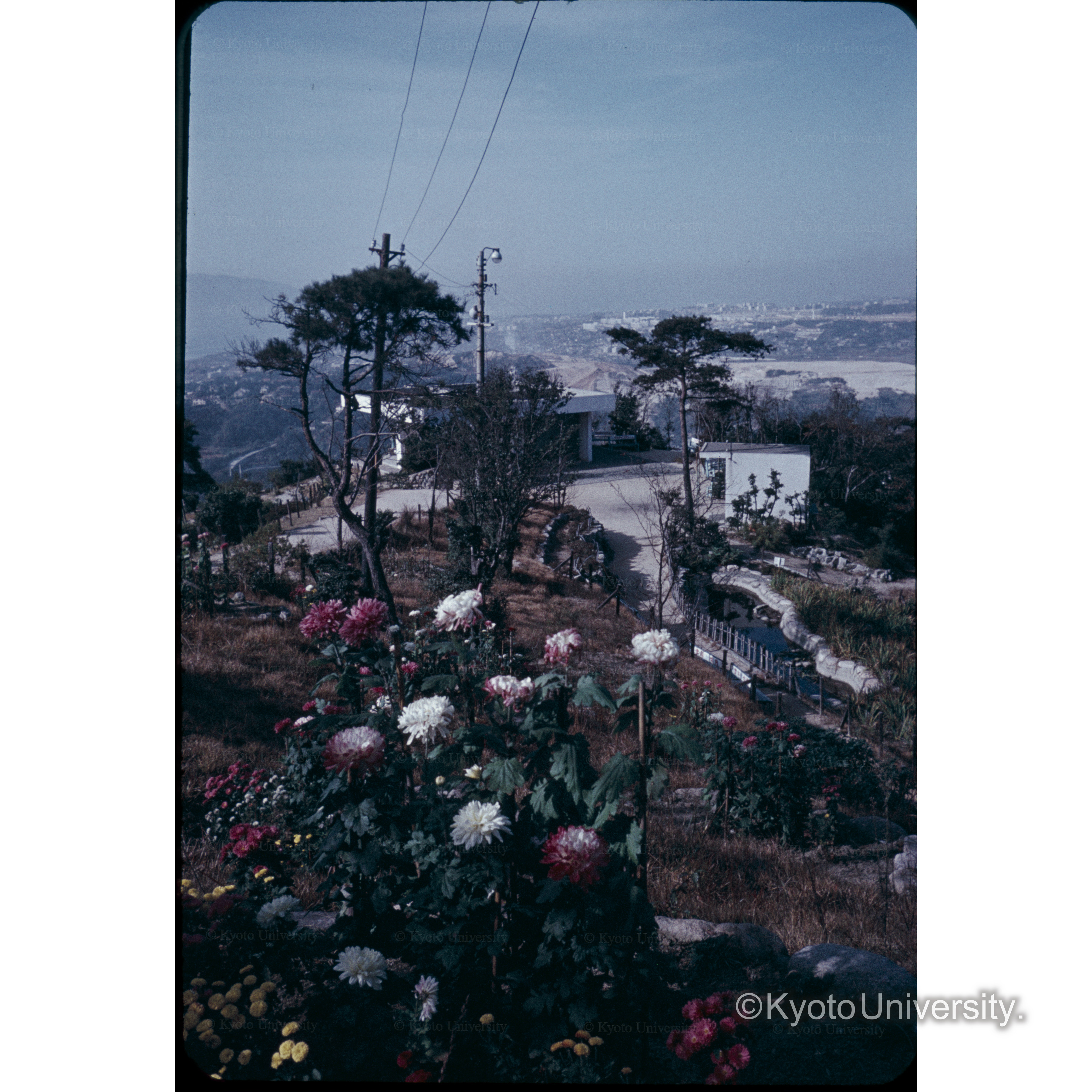 スマ浦山上遊園地 (1)