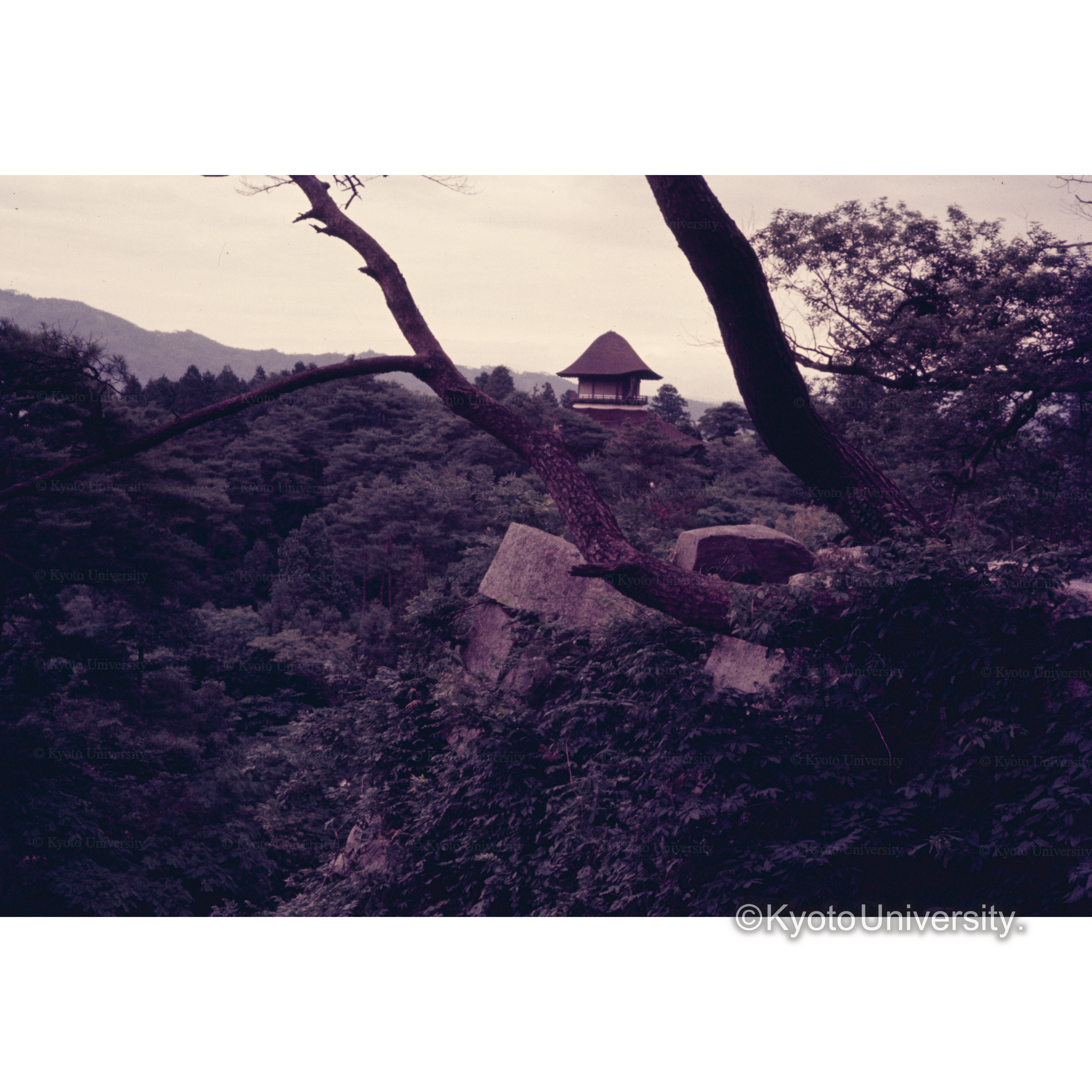 上野城よりみた芭蕉記念館 (1)