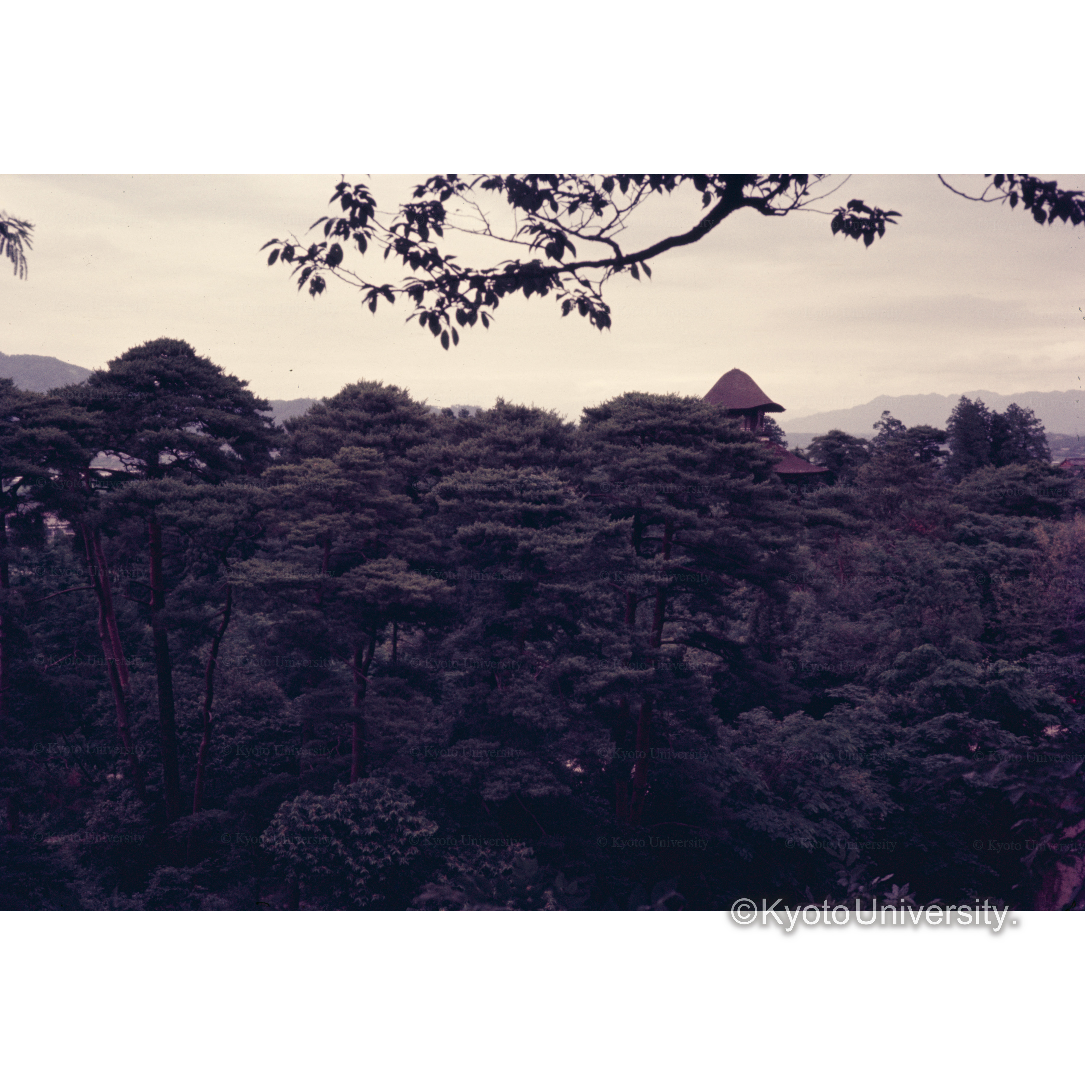 上野城よりみた芭蕉記念館 (1)