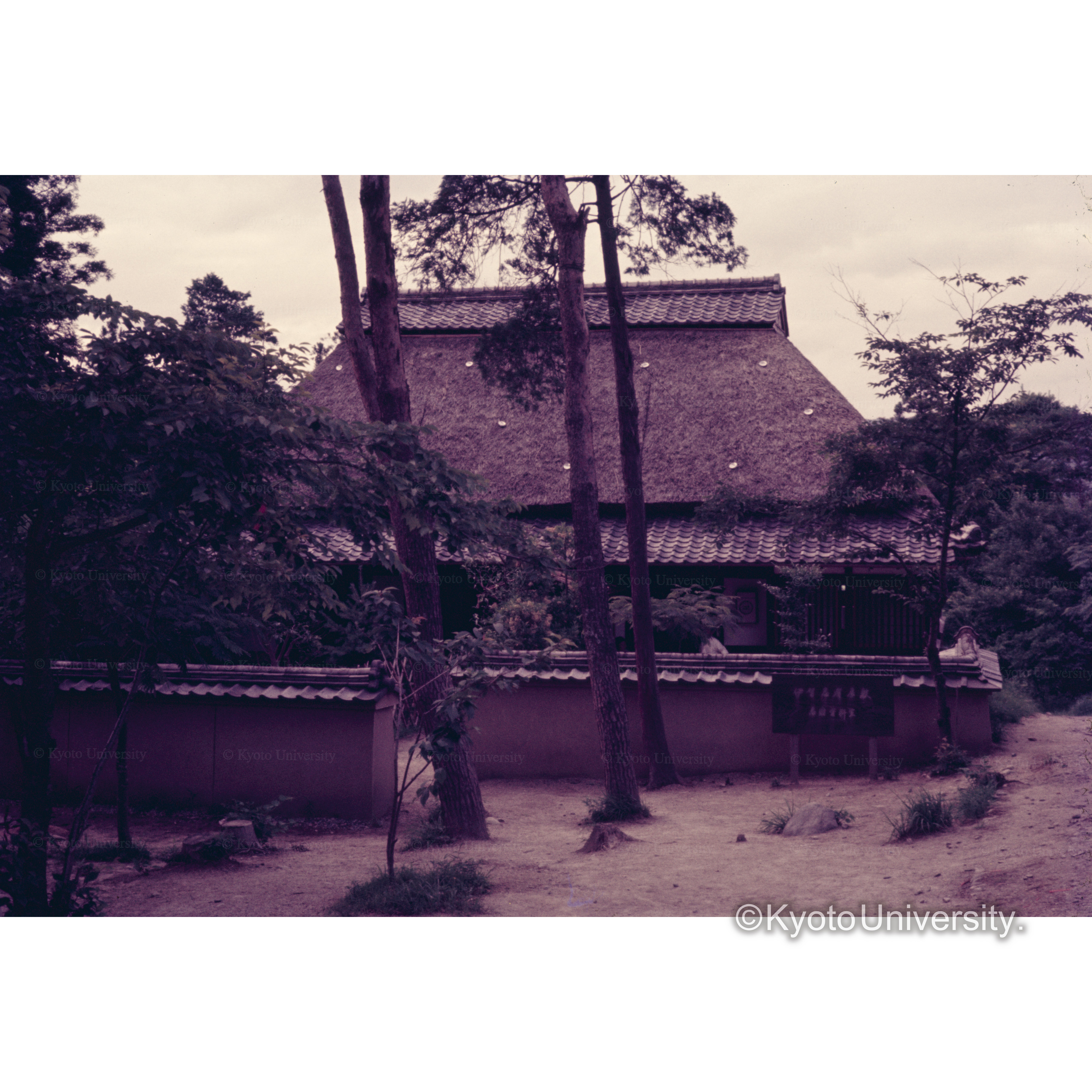 伊賀流忍者屋敷 (1)