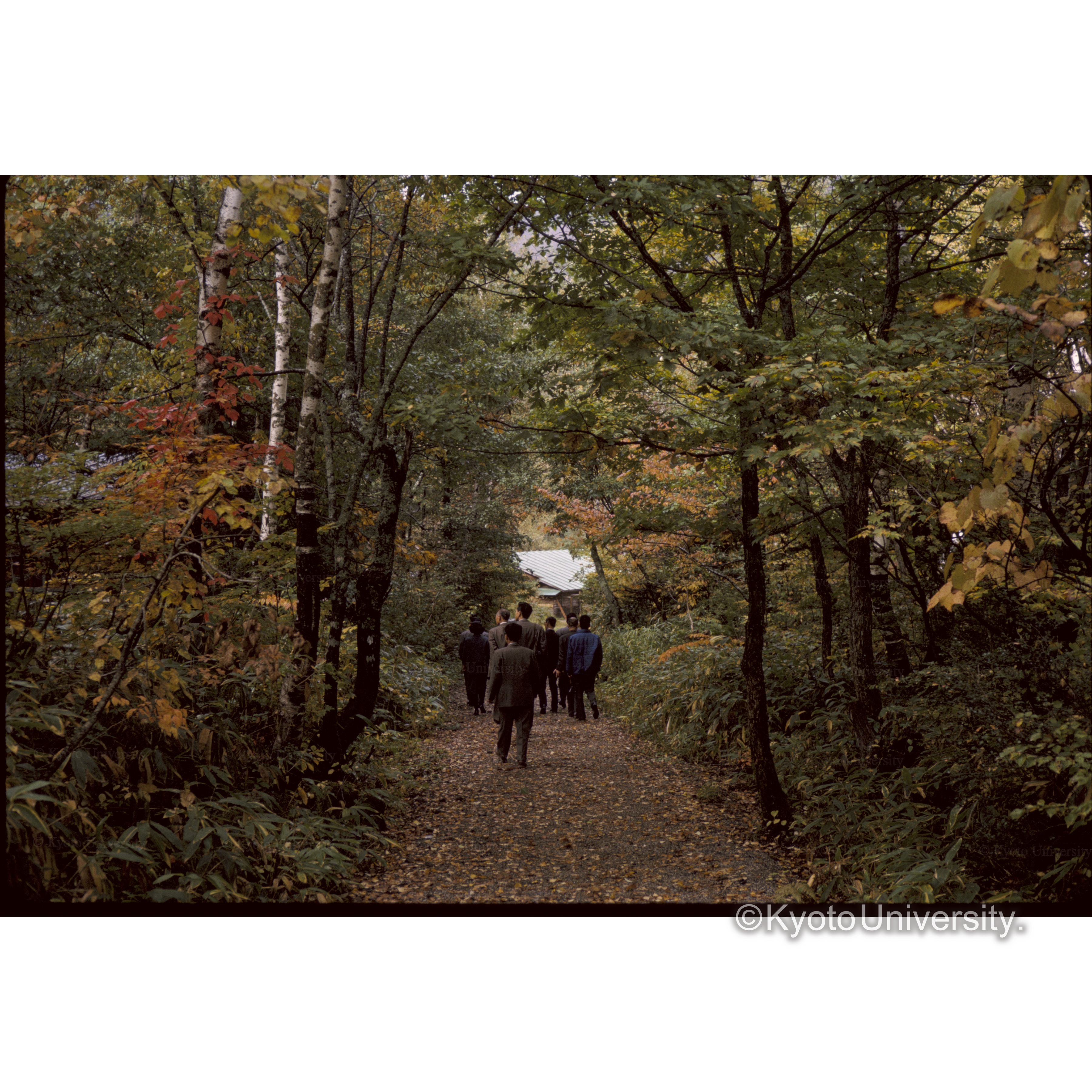 平湯□□植□地区 (1)