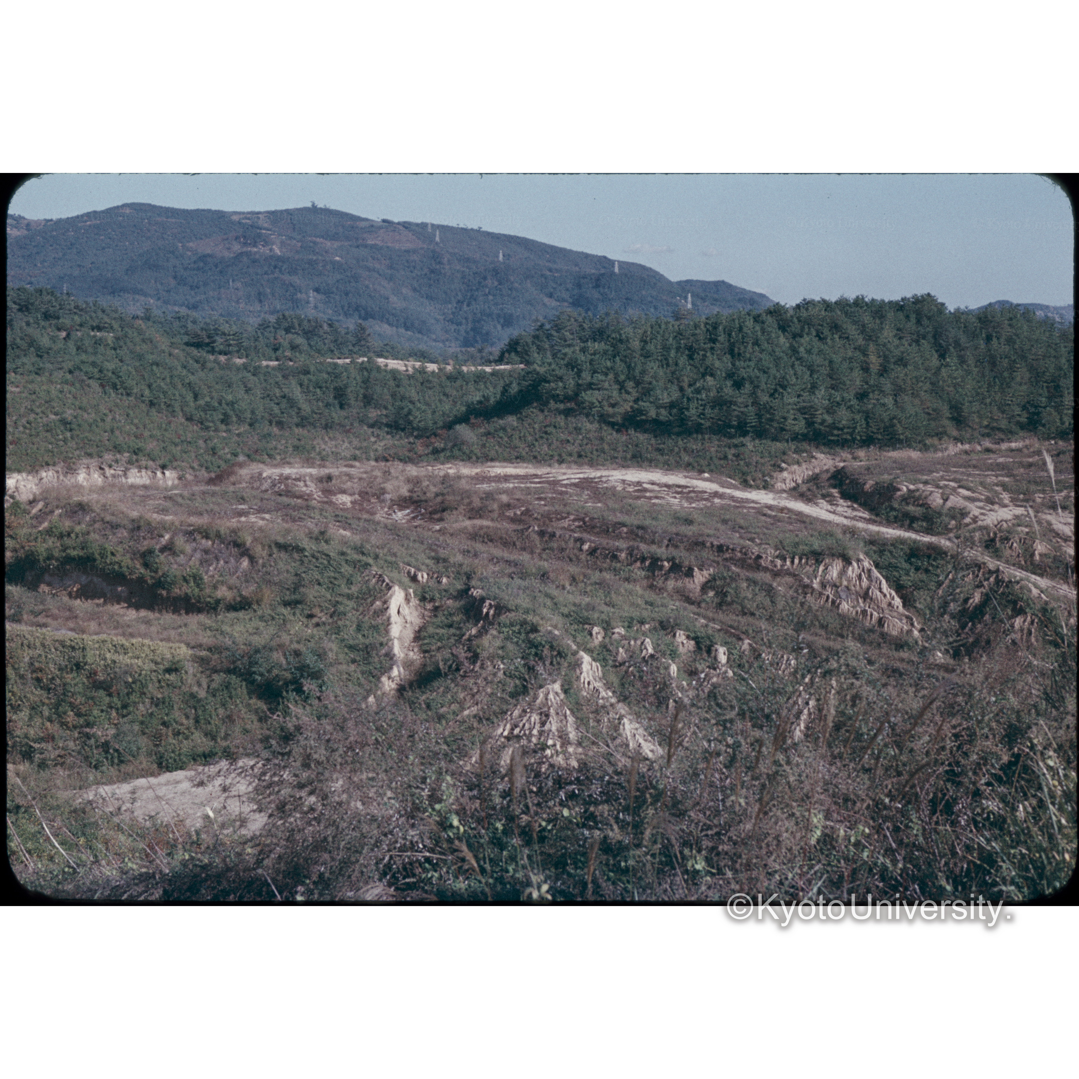 児島市運動公園予定地 (1)